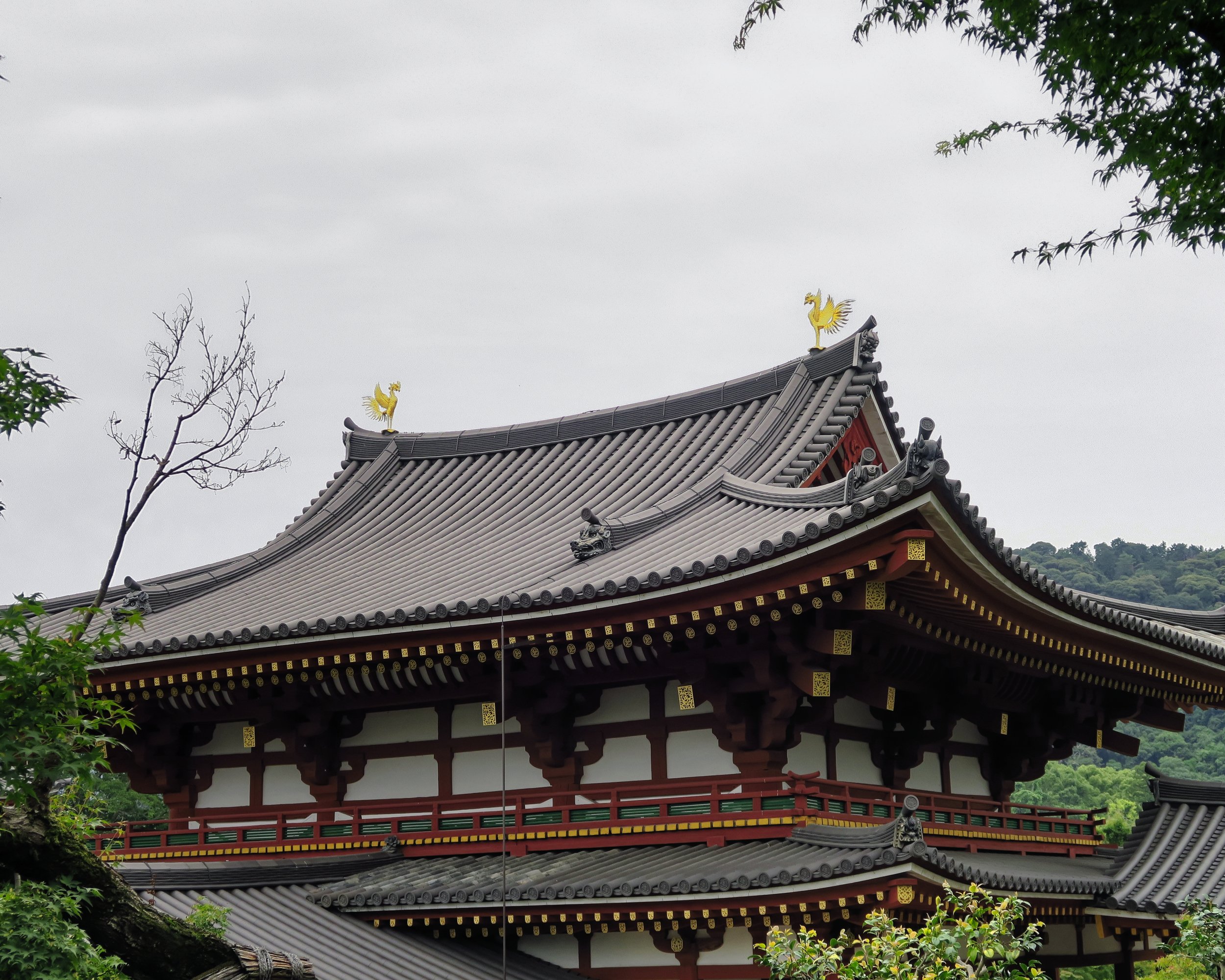 20190720 - 200_Nik-CEP_DxO.jpg