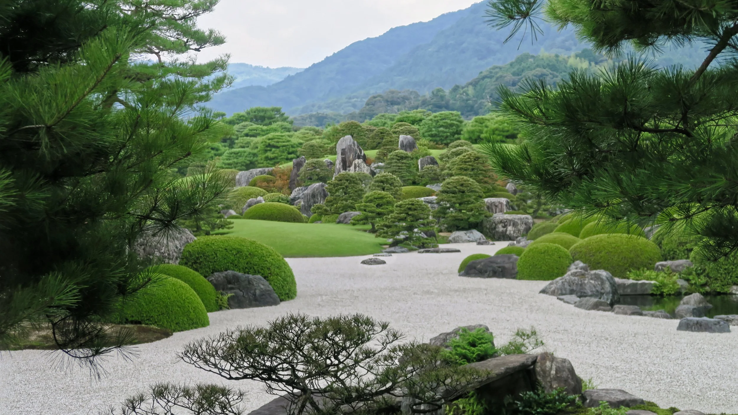 20190728 - 5_DxO.jpg