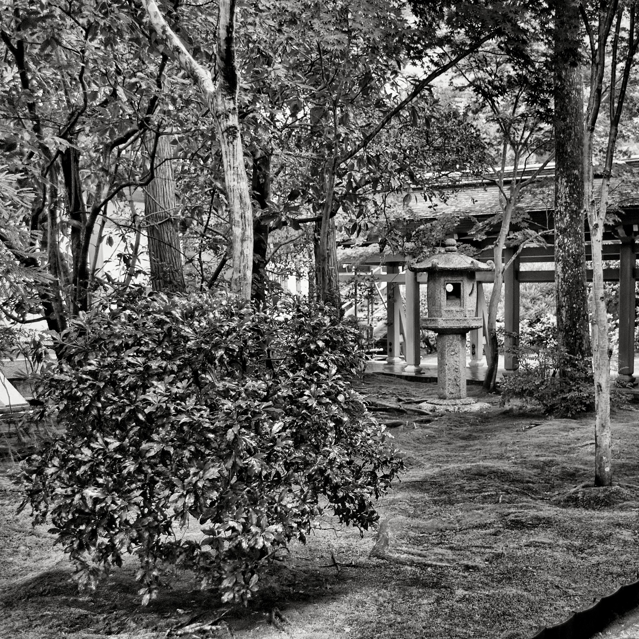 20190718 - 307_Nik_DxO.jpg