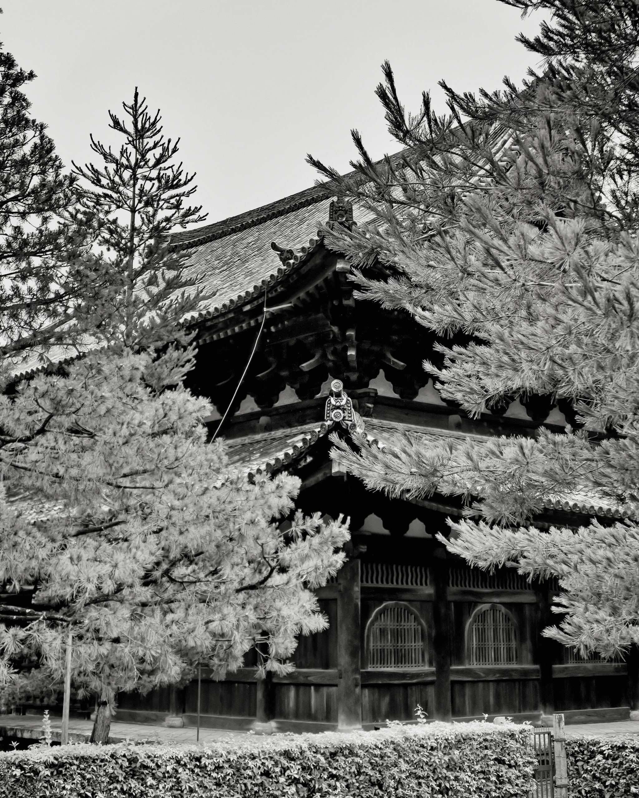 20190718 - 8_Nik_Version_1_DxO.jpg