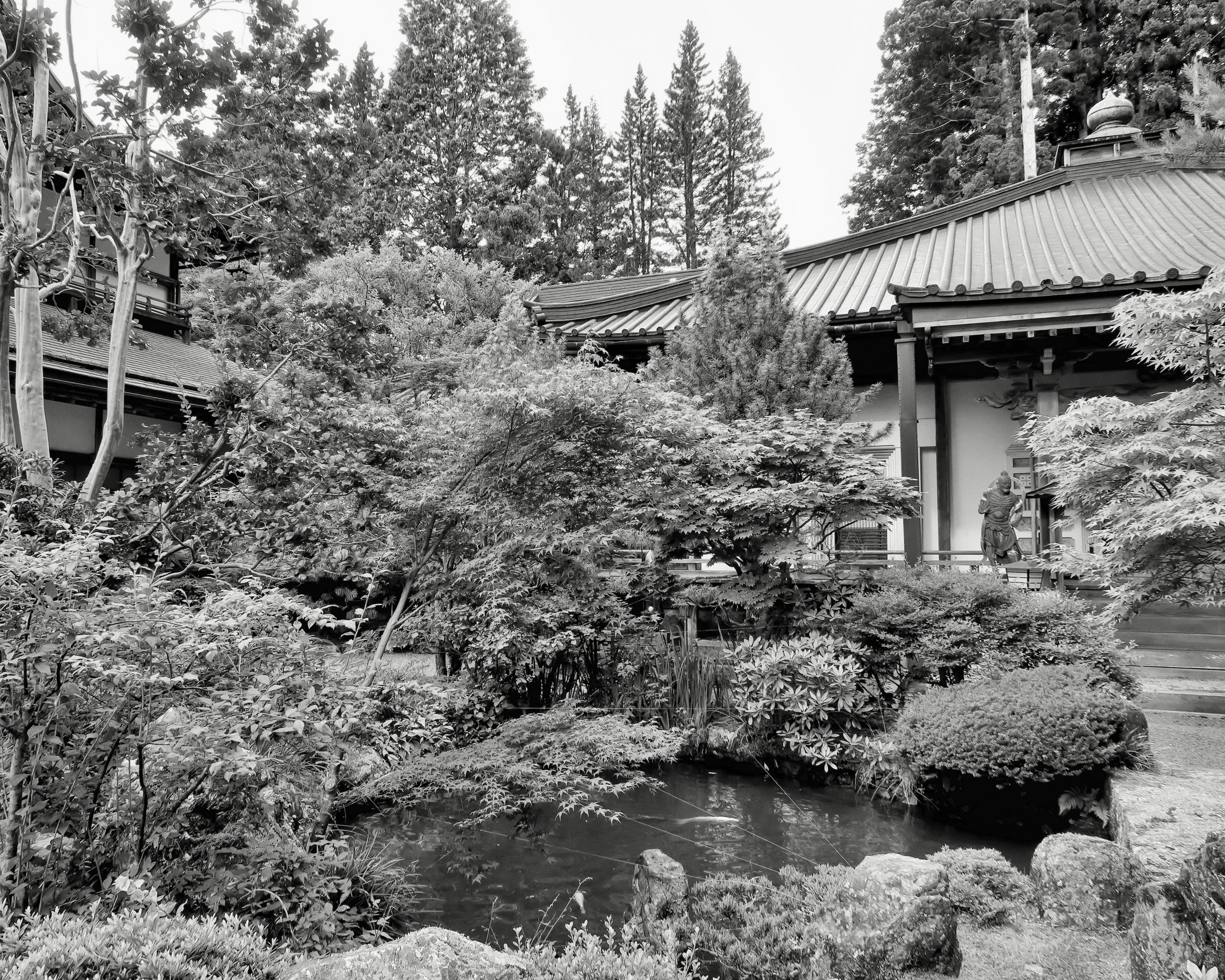 20190721 - 27_Nik_DxO.jpg