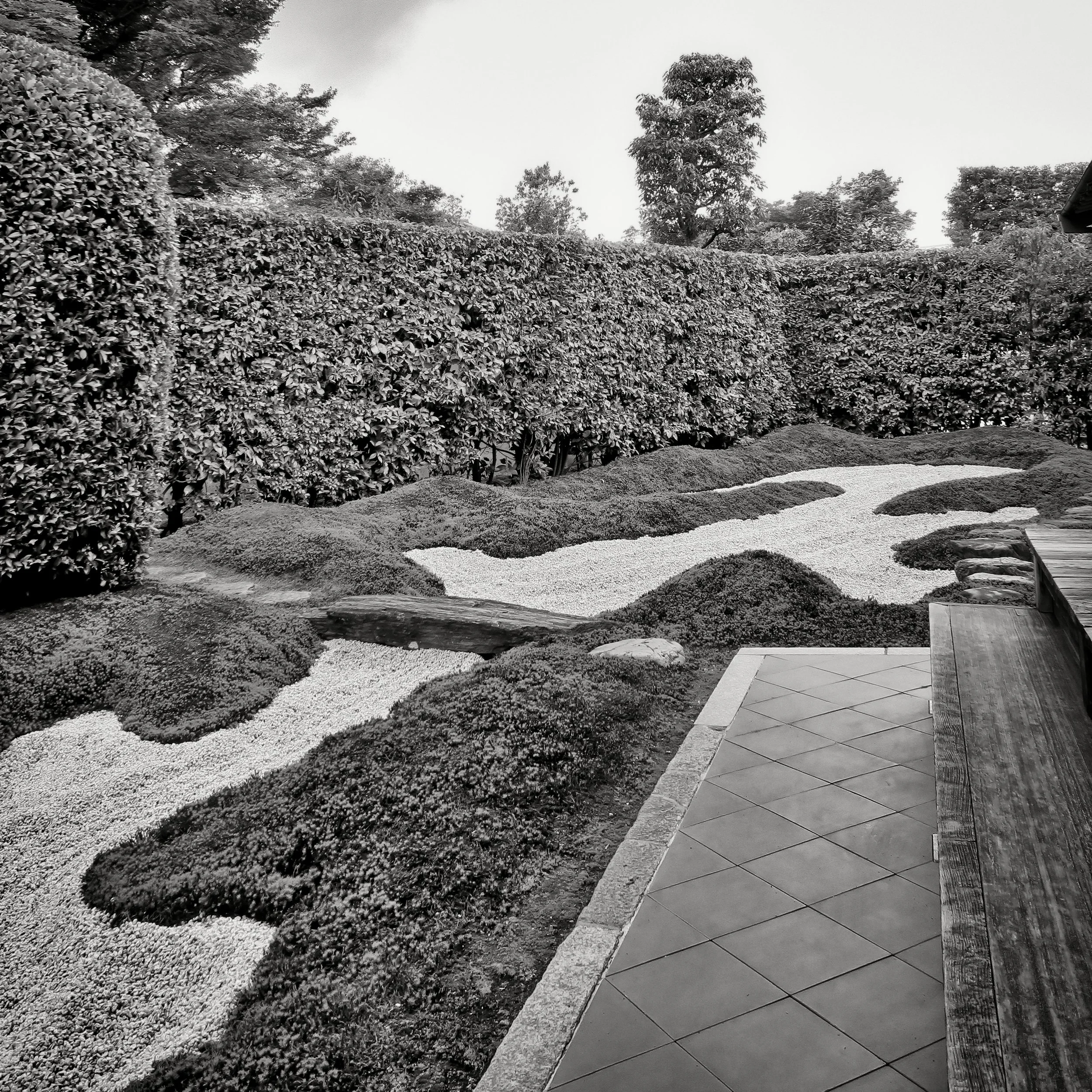 20190718 - 155_Nik_DxO.jpg