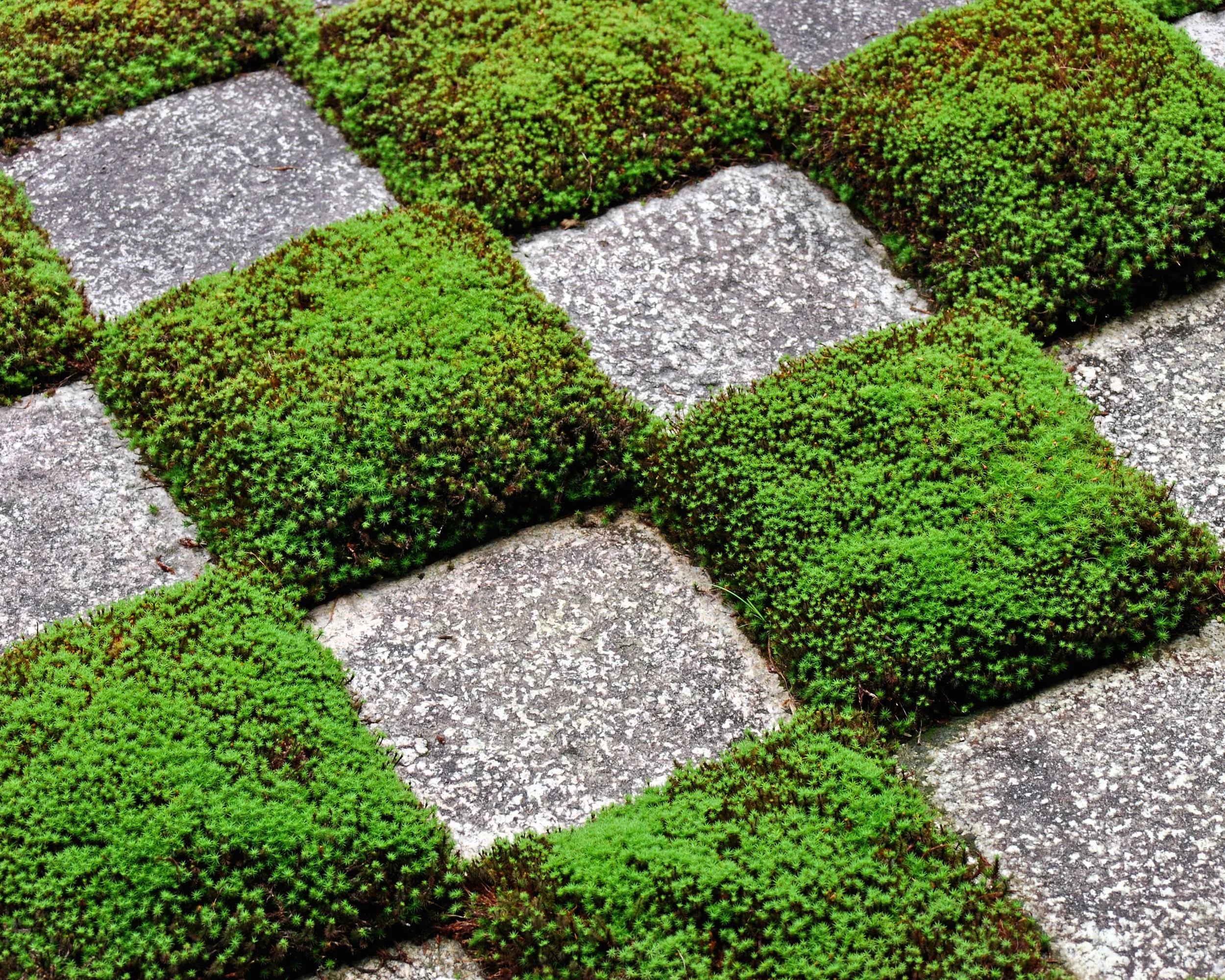 20190720 - 128_DxO.jpg