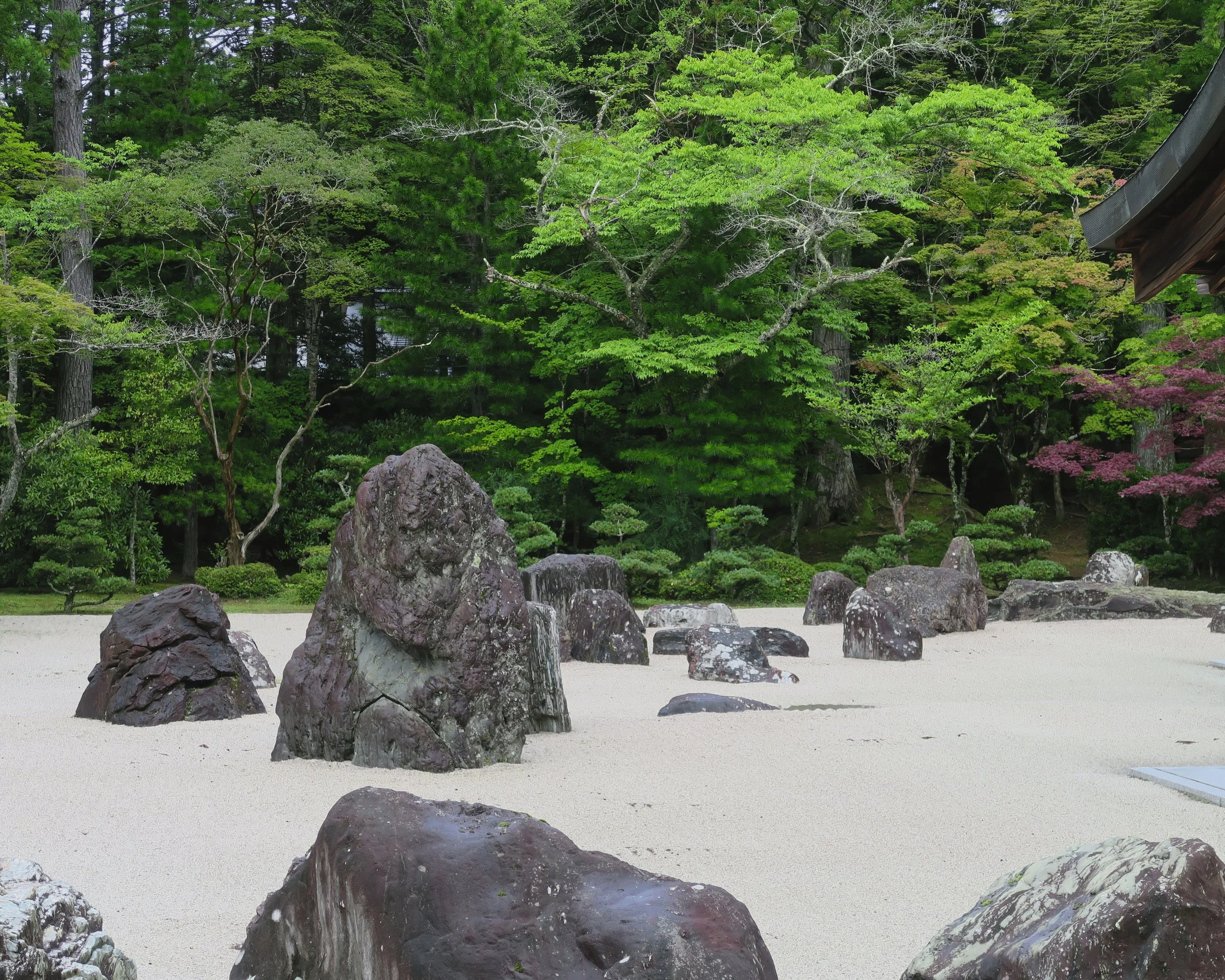 20190722 - 27_DxO.jpg