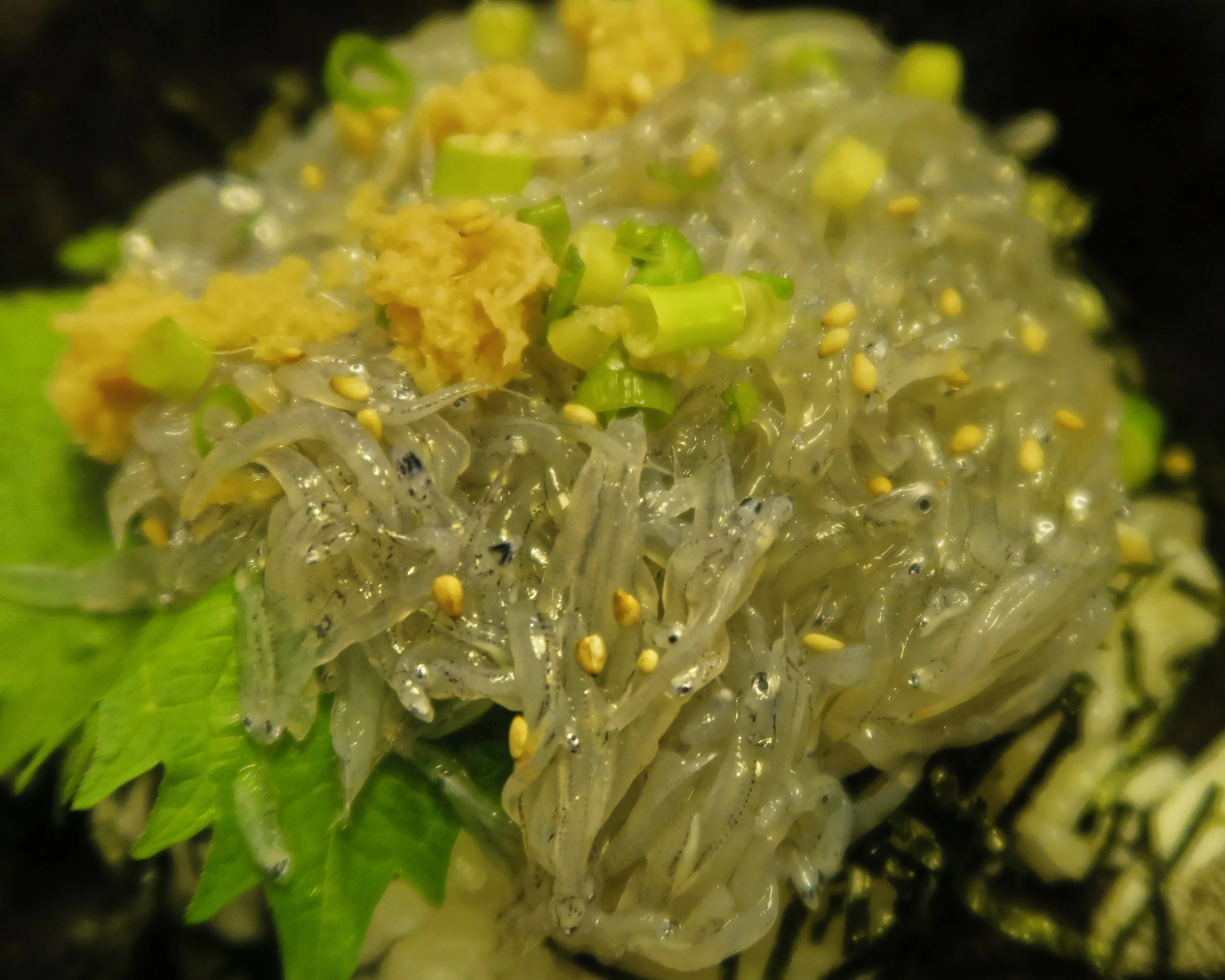 20190809 - 37_DxO.jpg