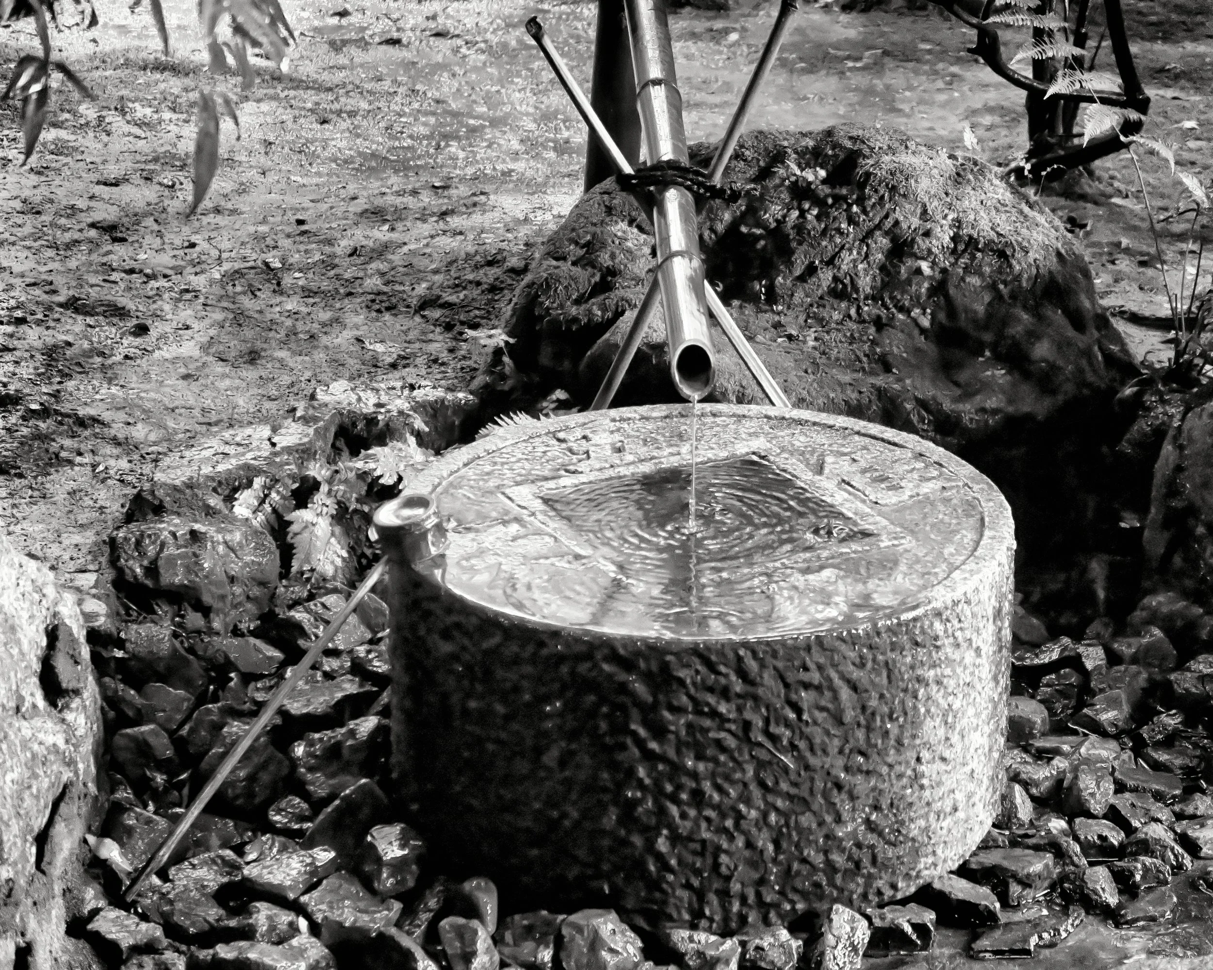 20190718 - 316_Nik_DxO.jpg