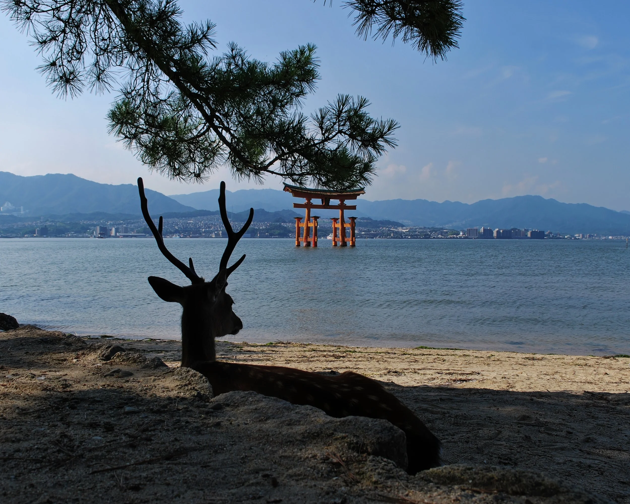 20190726 - 117_DxO.jpg