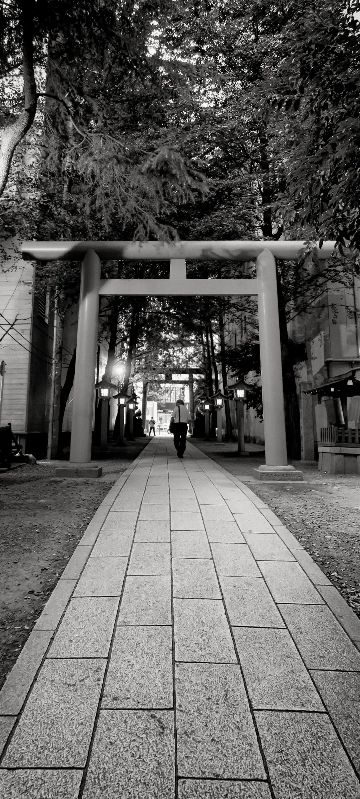 20190807 - 142_Nik_DxO.jpg