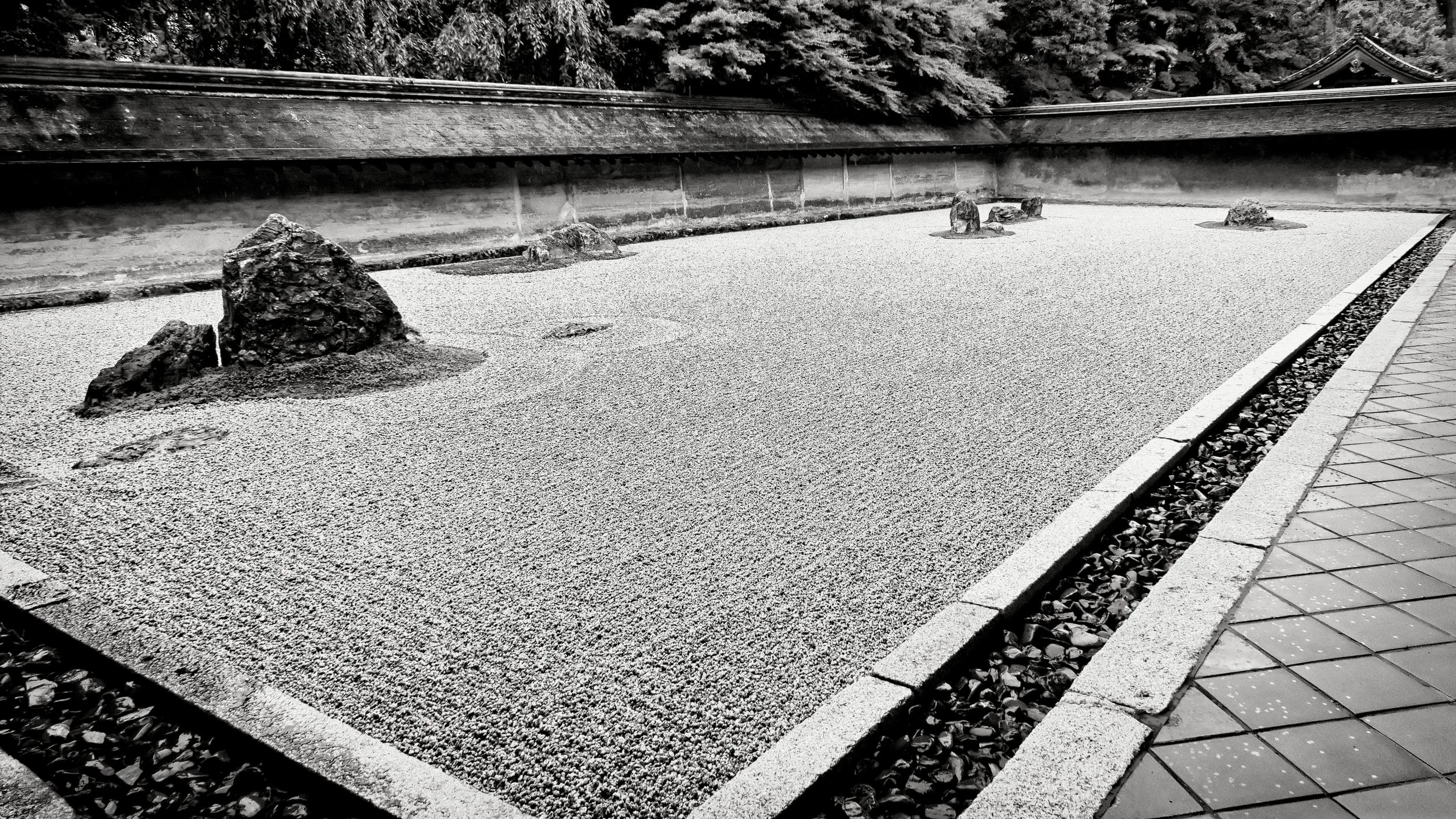 20190718 - 285_Nik_DxO.jpg