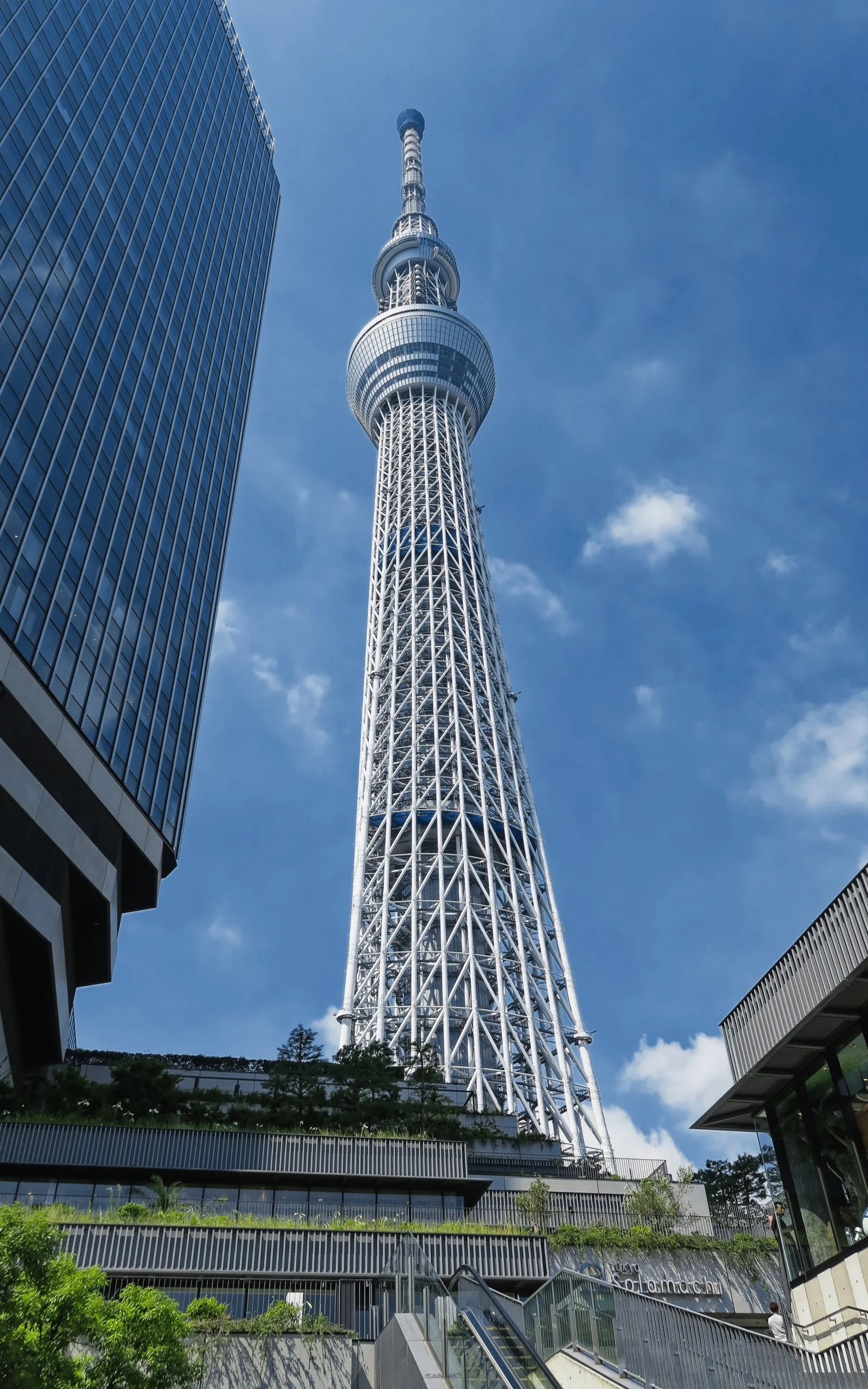 20190808 - 100_DxO.jpg