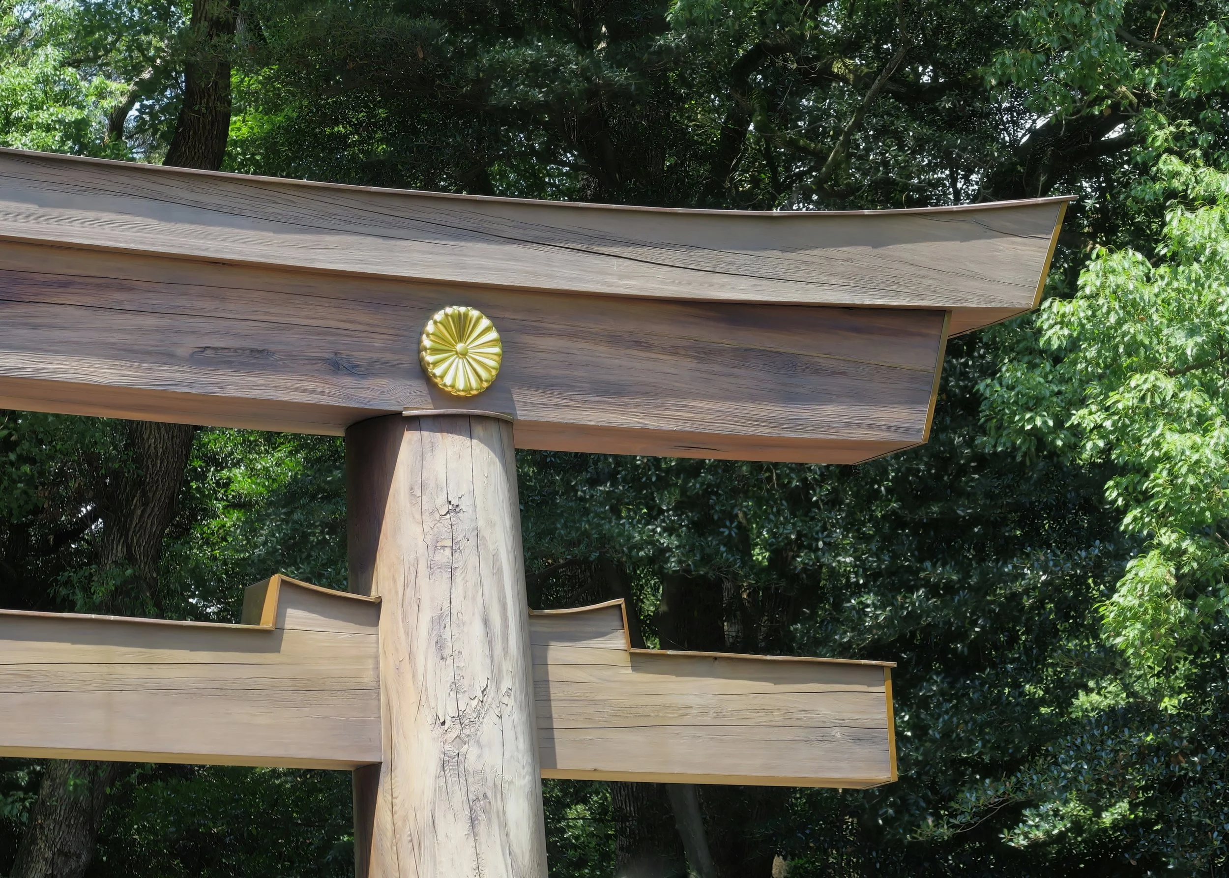 20190811 - 5_DxO.jpg