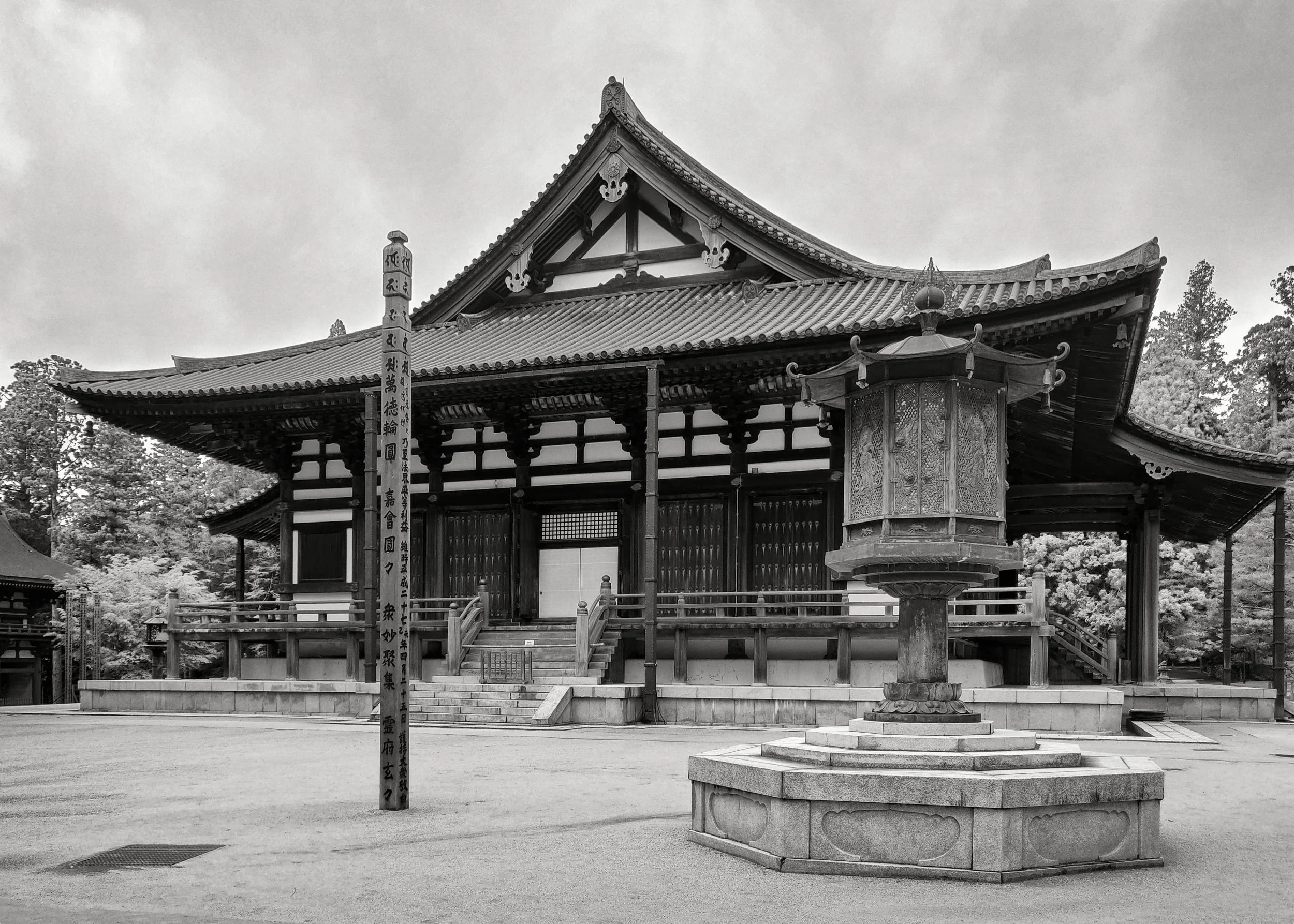 20190722 - 64_Nik_DxO.jpg