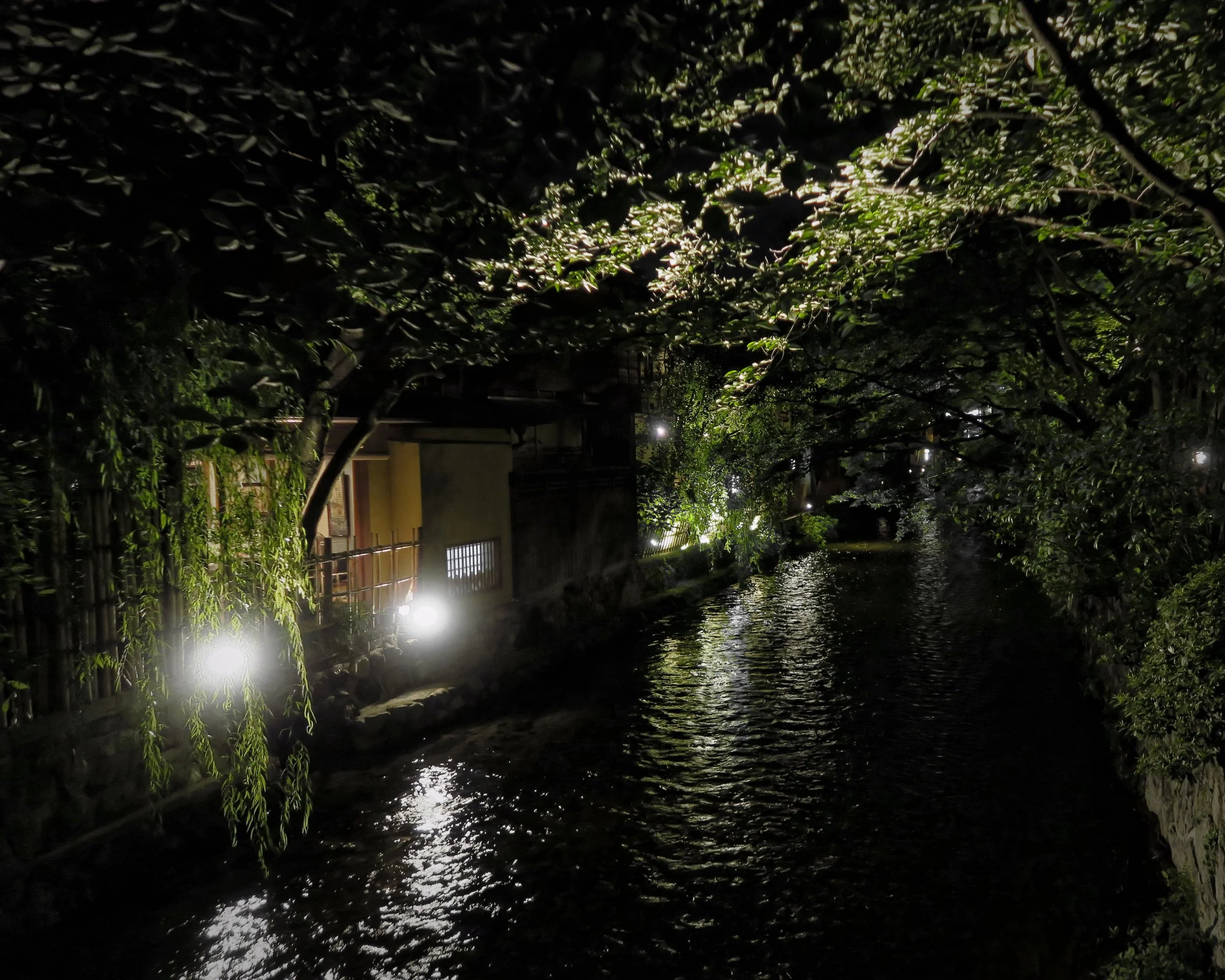 20190717 - 283_DxO.jpg