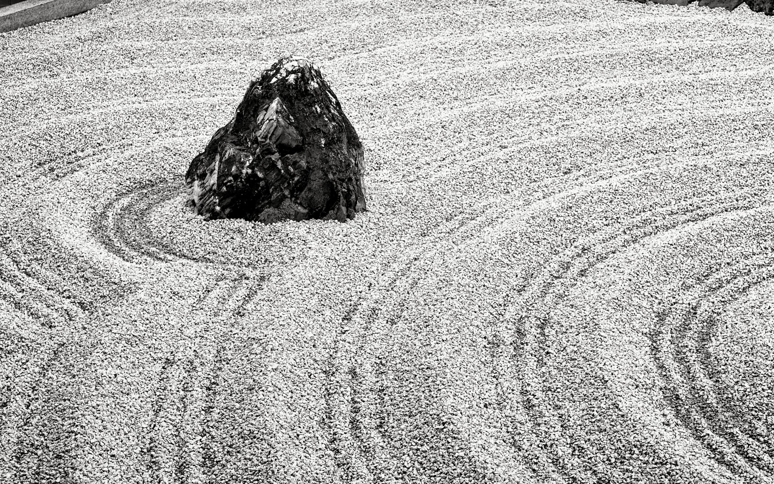 20190718 - 164_Nik_DxO.jpg