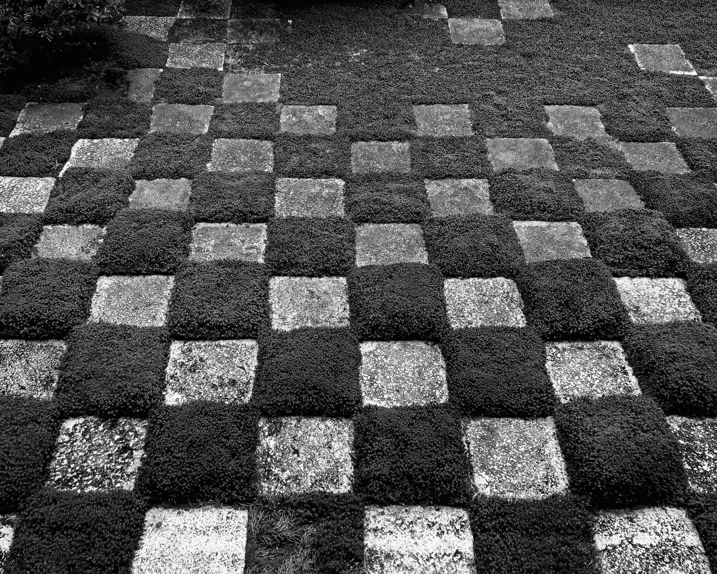 20190720 - 119_Nik_DxO.jpg