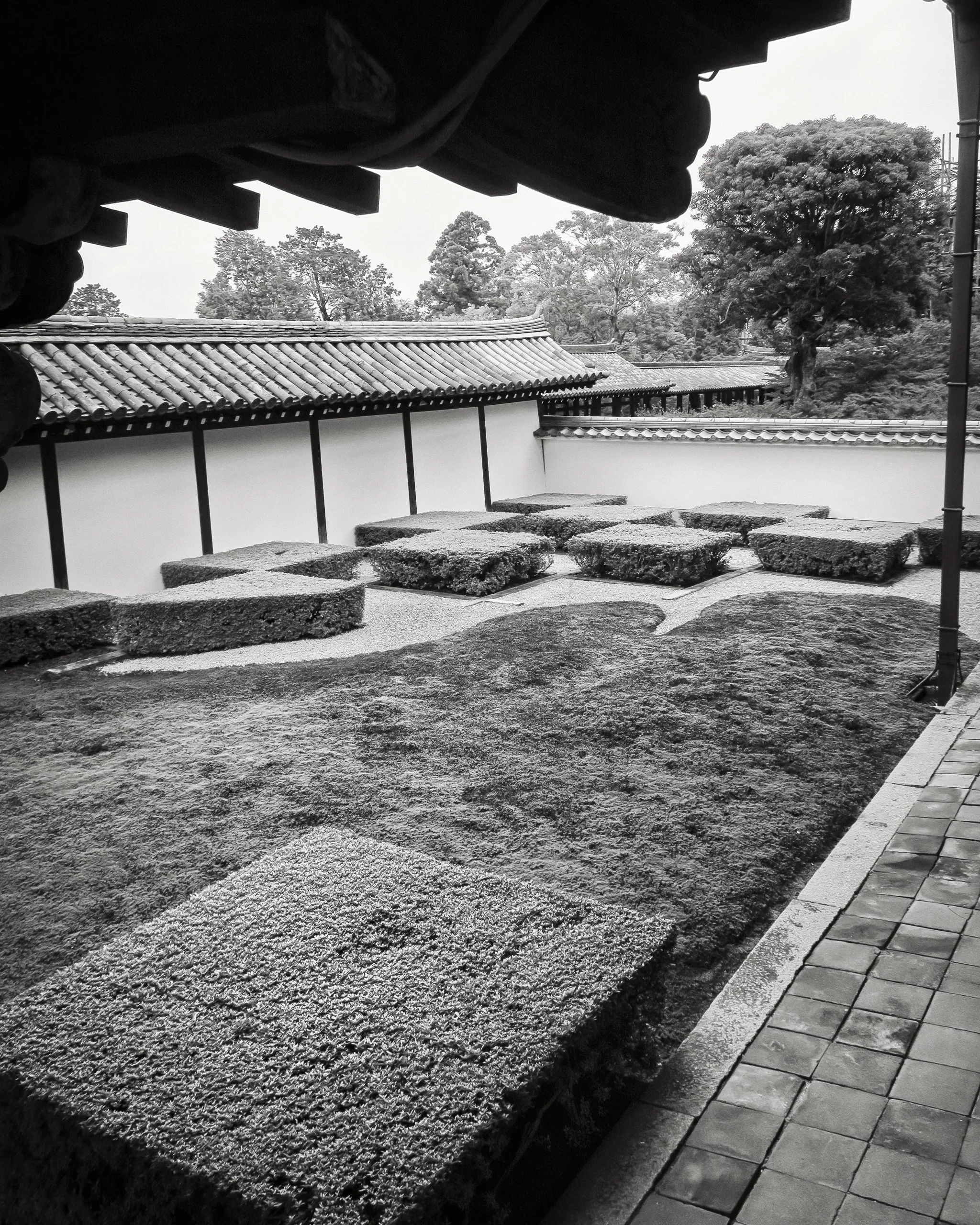 20190720 - 94_Nik_DxO.jpg