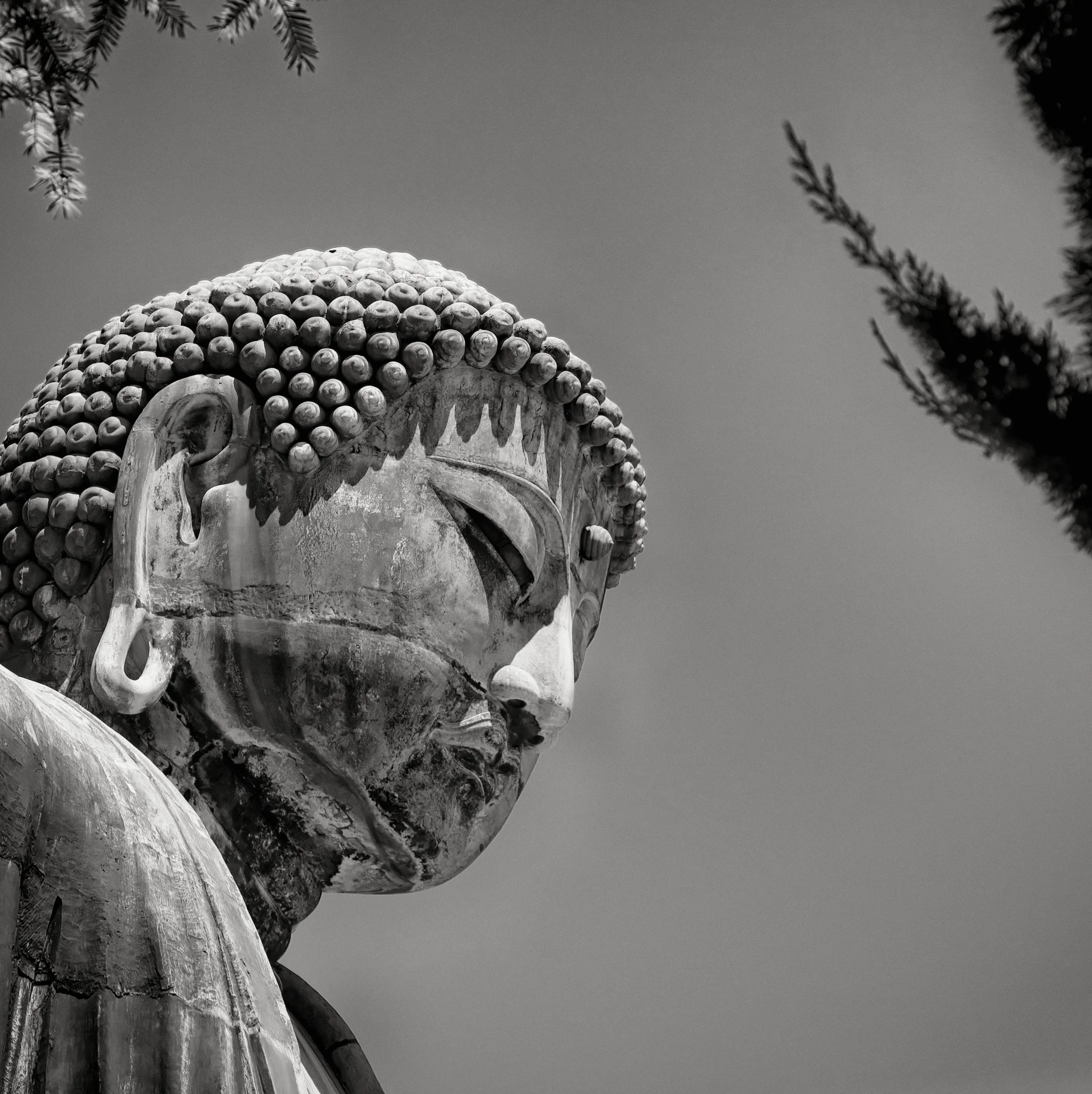 20190809 - 34_Nik_DxO.jpg