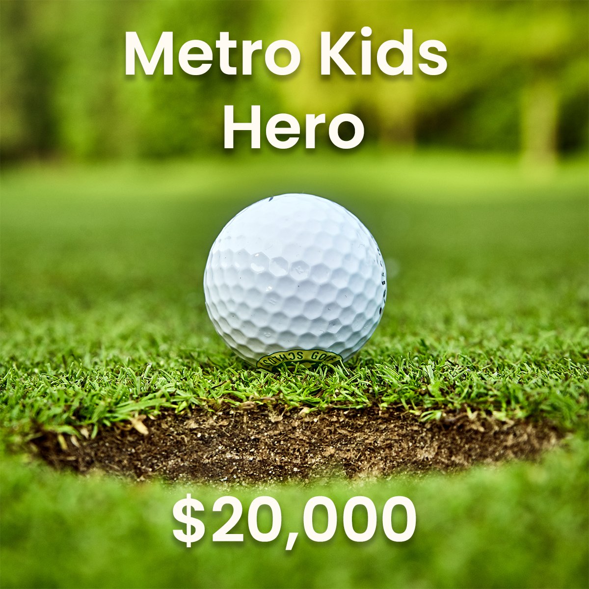 Metro Kids Hero Sponsorship