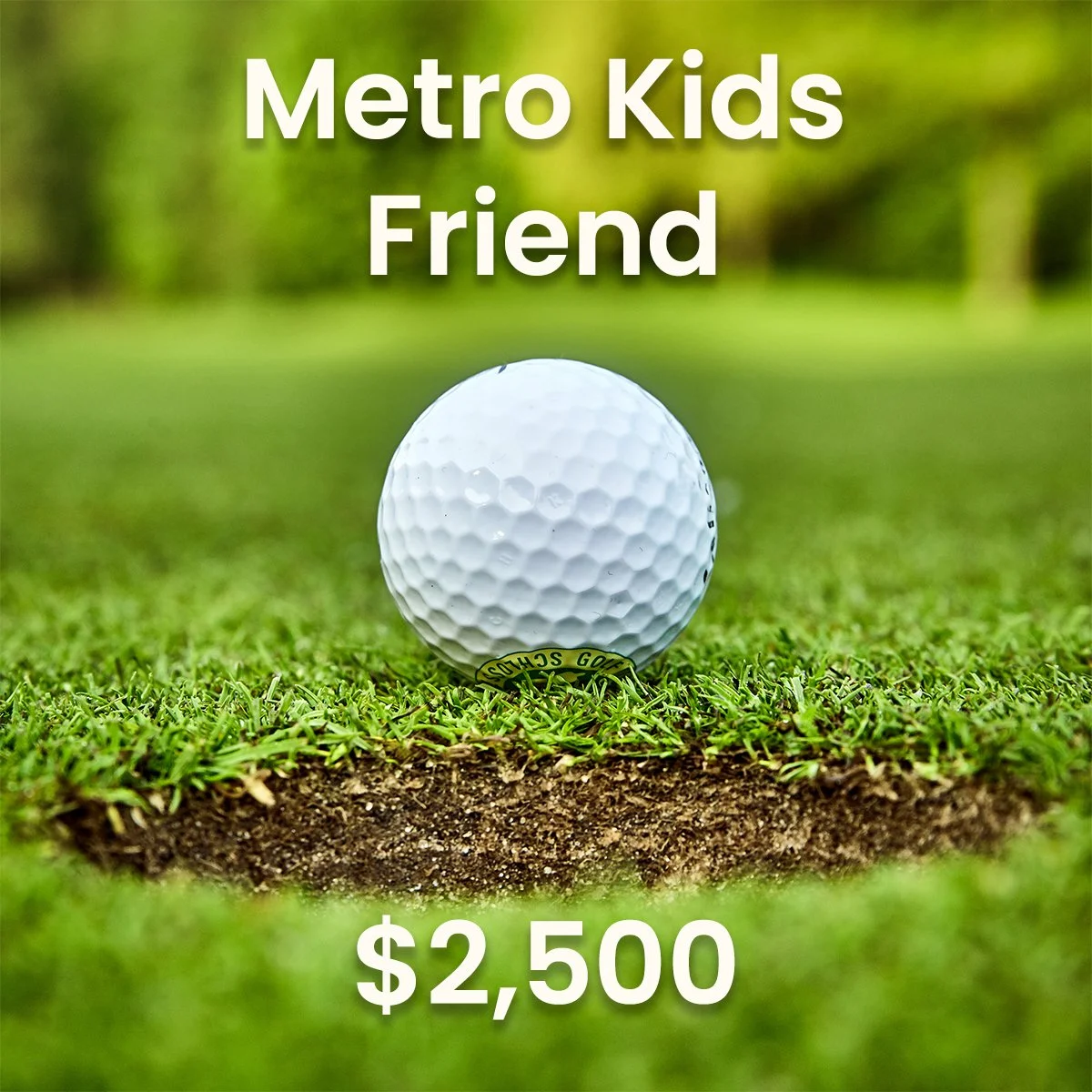 Metro Kids Friend Sponsorship