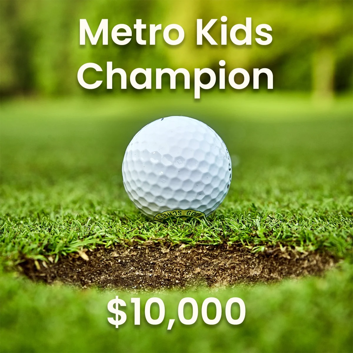Metro Kids Champion Sponsorship