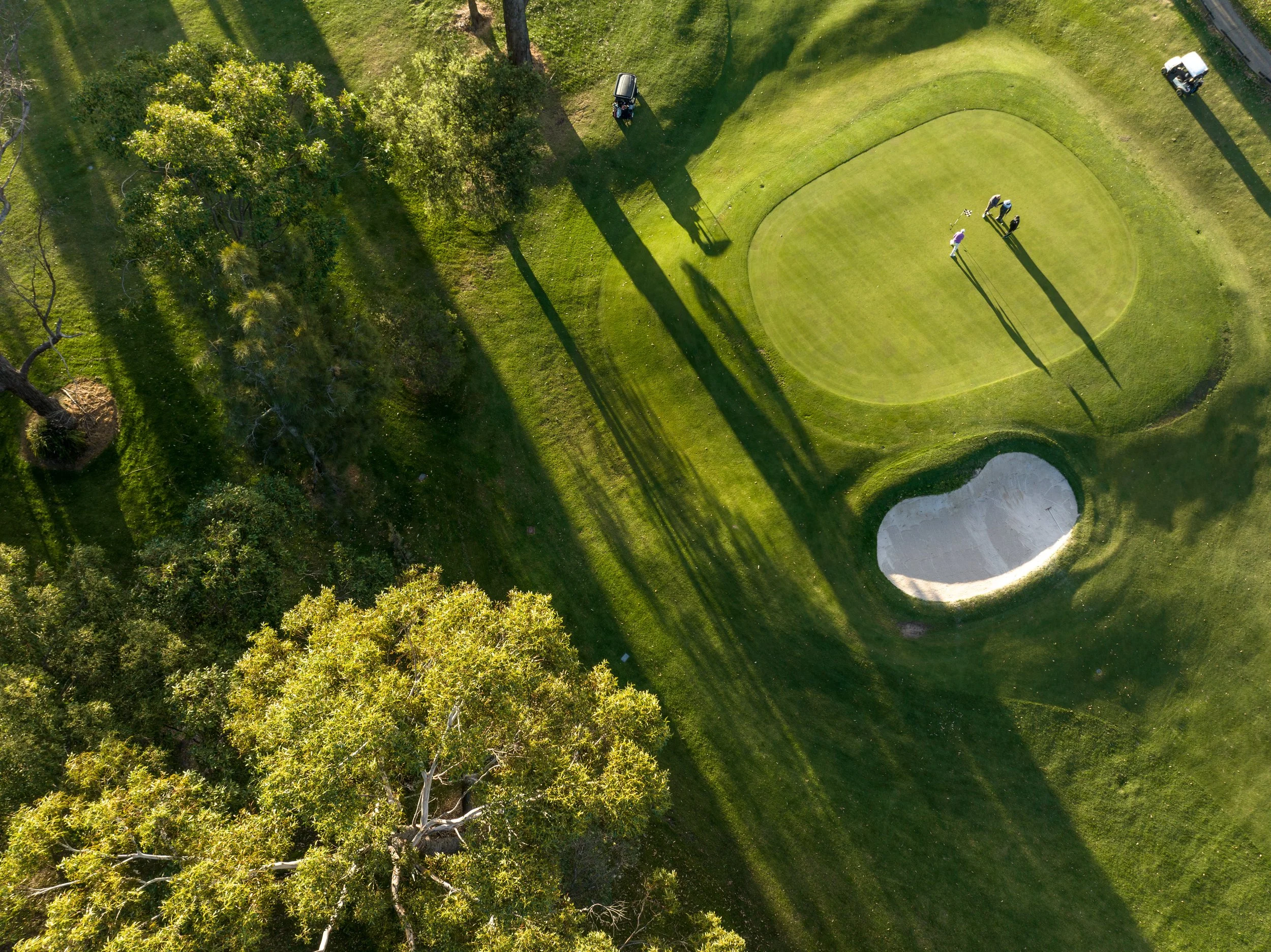 an-aerial-view-of-a-green-course-with-trees-around-2026-03-18-09-51-49-utc.jpg