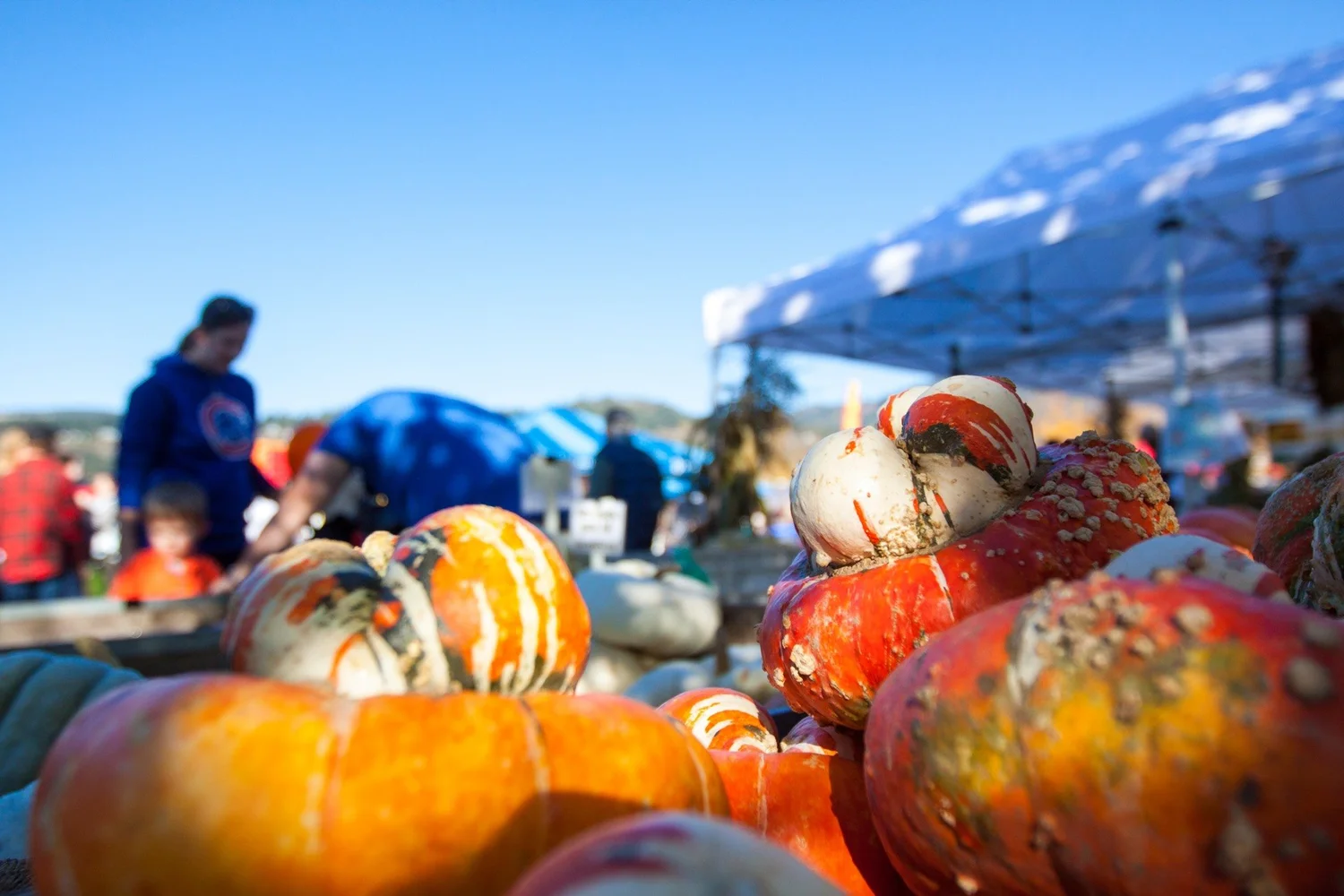 Home — Hood River Valley Harvest Fest 2022