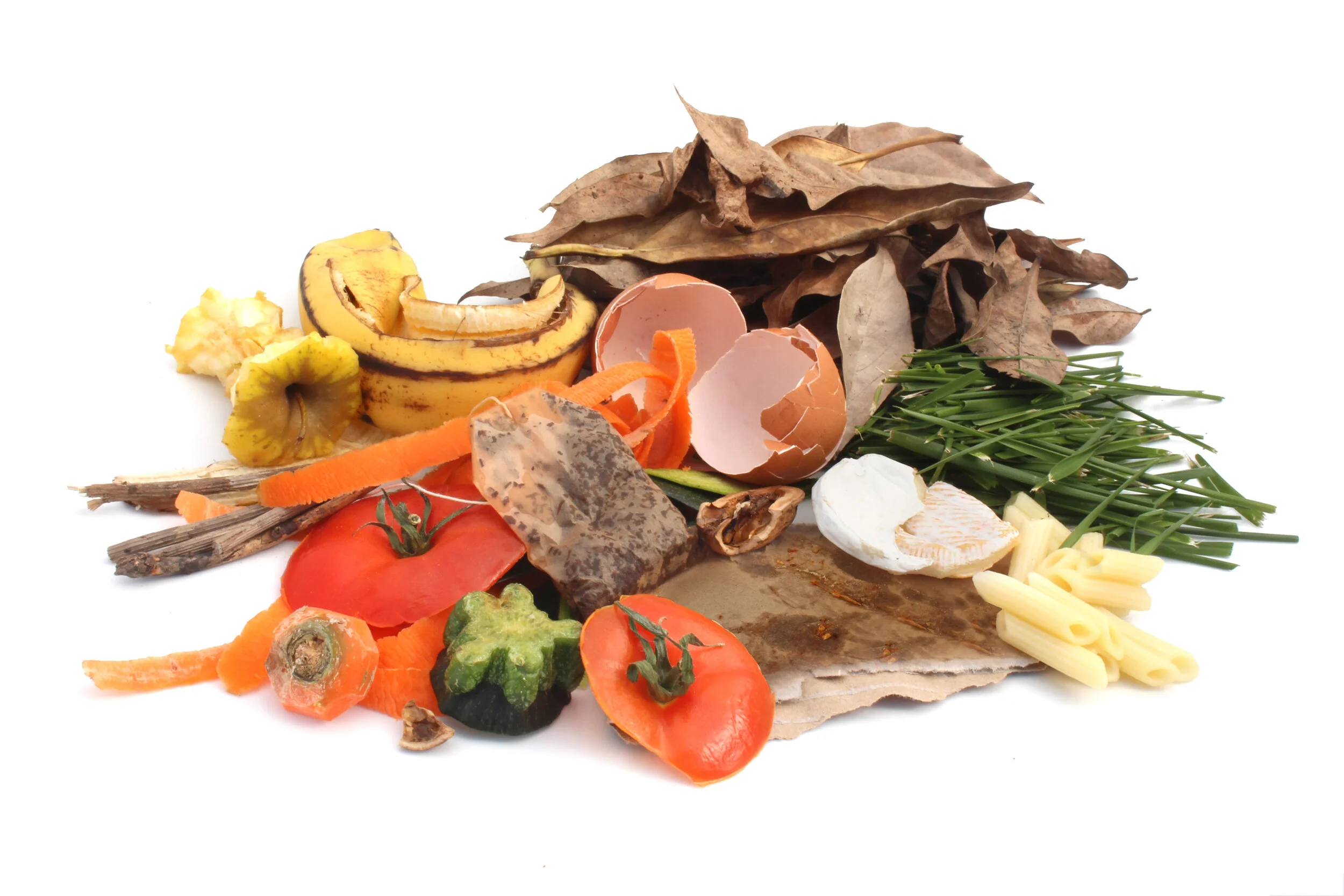 FLOWS Track Launches