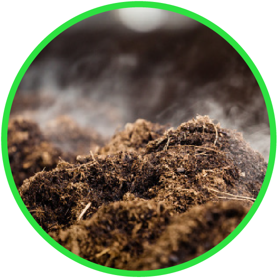 COMPOST INFRASTRUCTURE