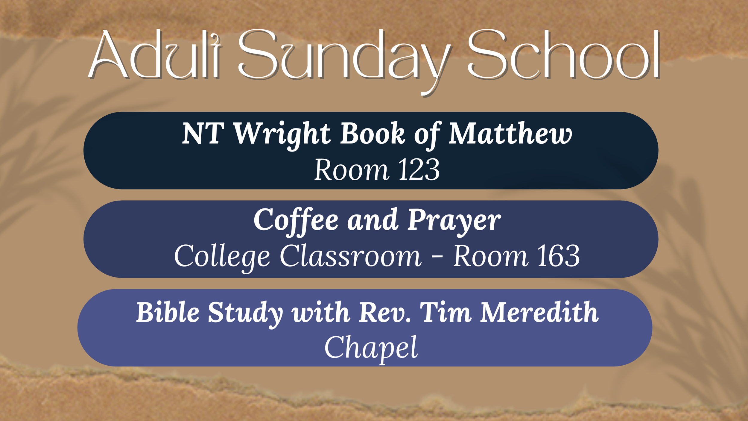 Sunday Study Opportunities