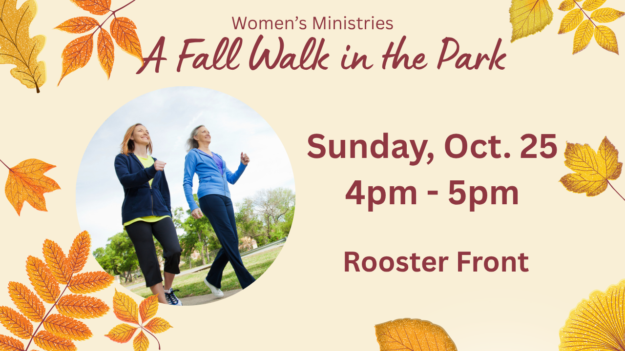 Women's Ministry Walk in the Park