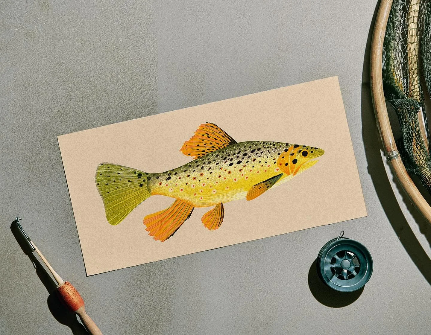 A lil something just made a lil splishy splashy into our web shop. Trouts are now available online! 🌊