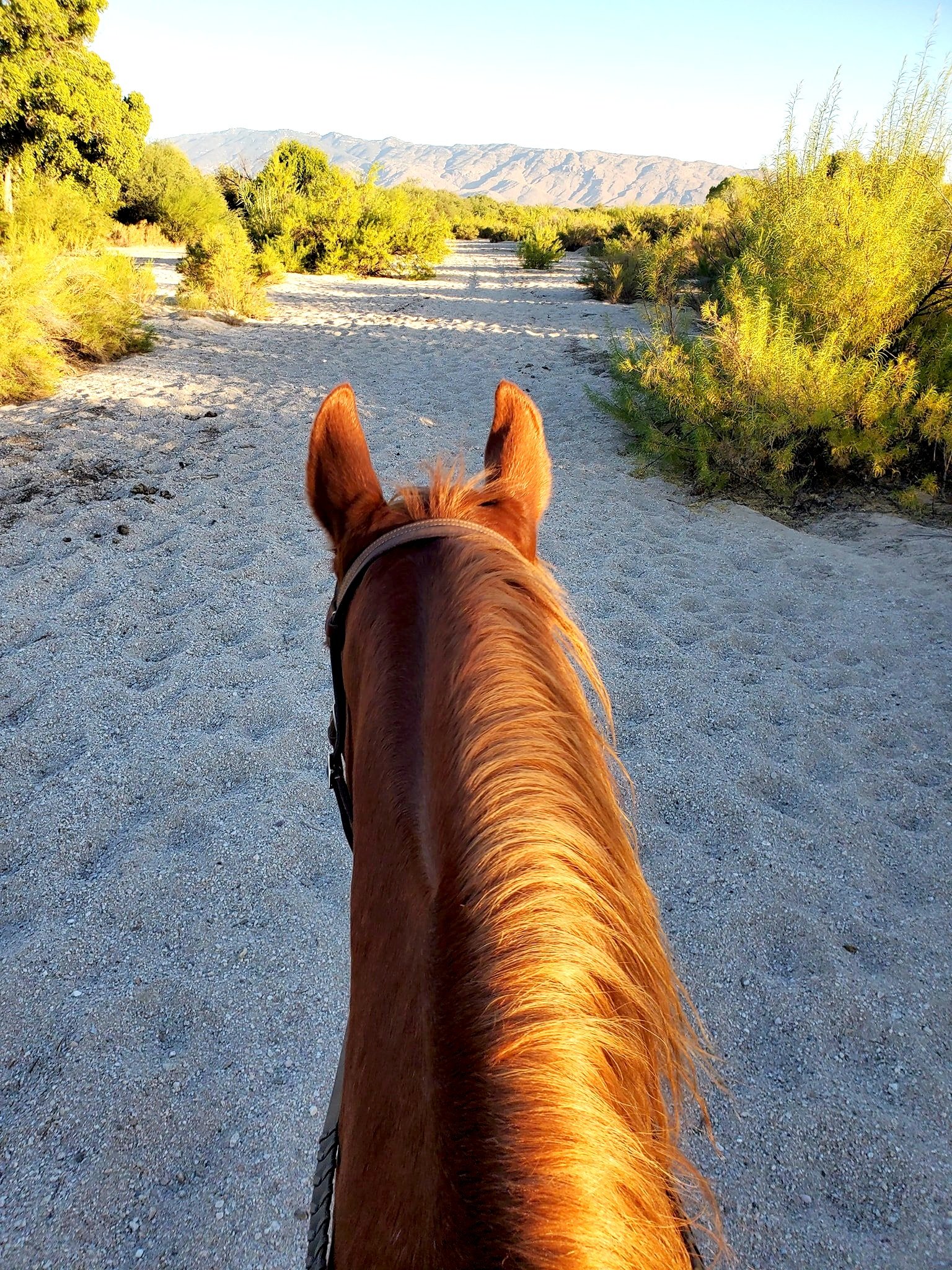 Facilities — Heart of the Horse Ranch