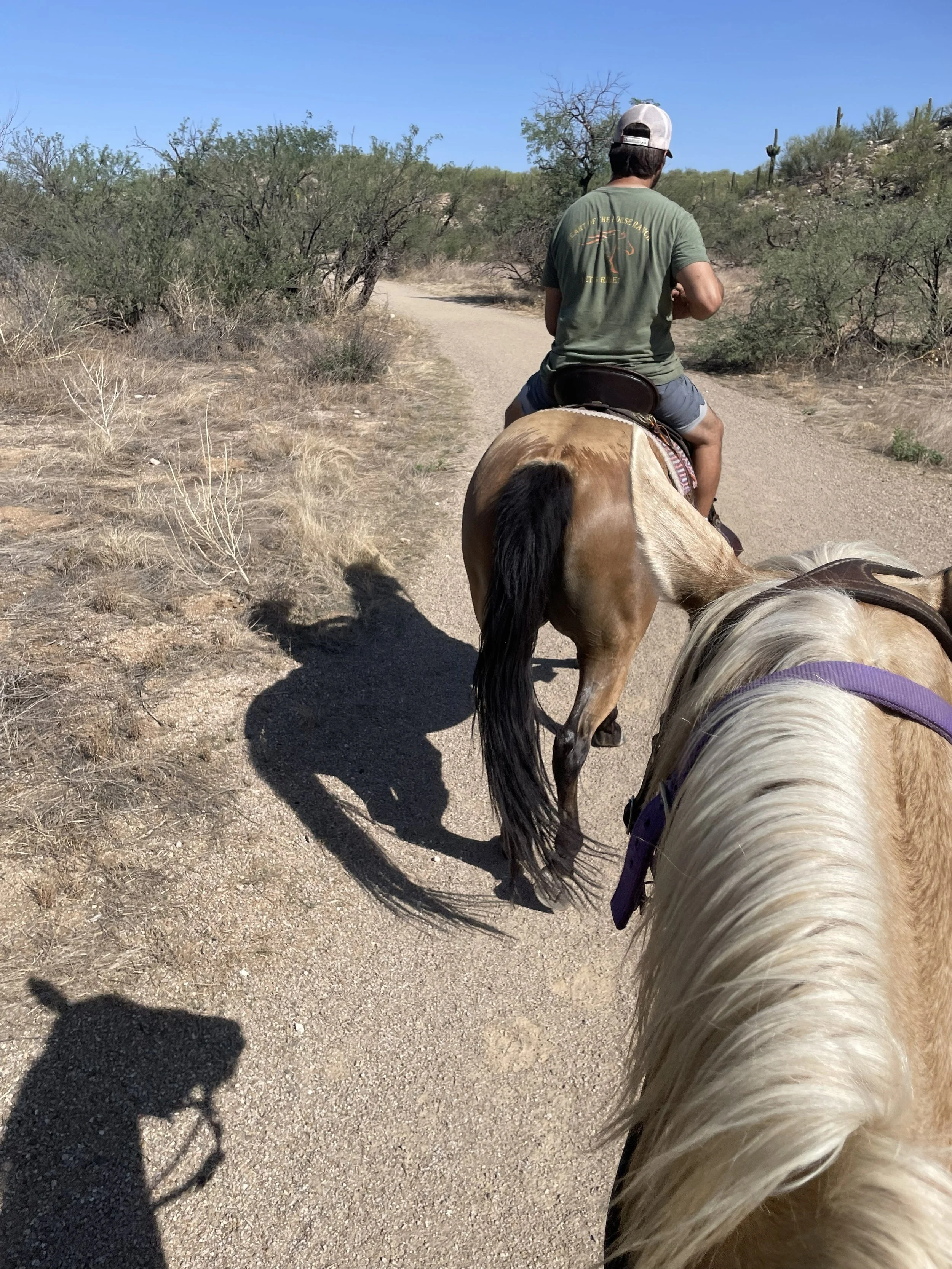 A person riding a horse along a dirt trail in a desert landscape with bushes, cacti, and a blue sky.