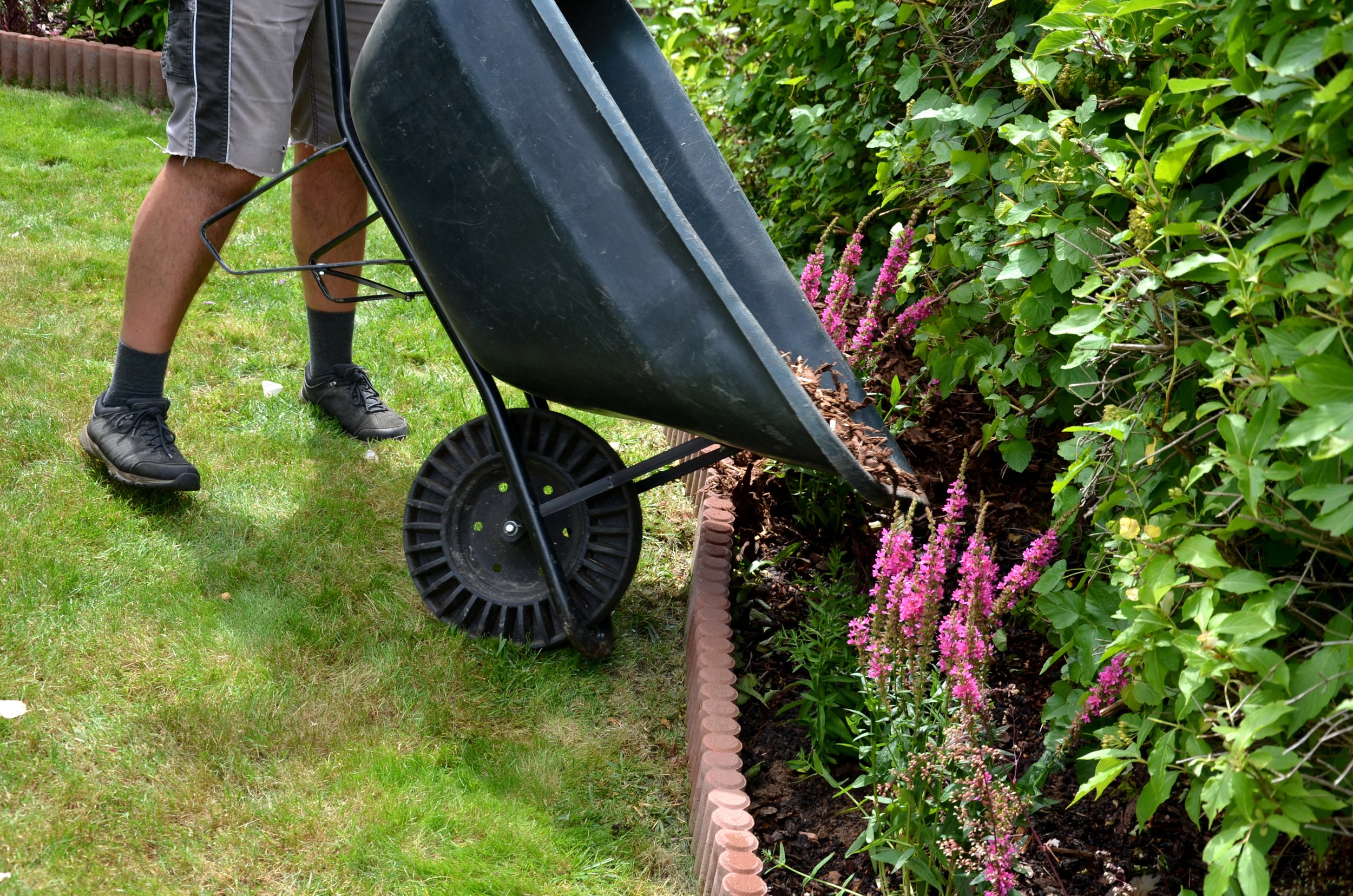 mulch_installed.jpeg