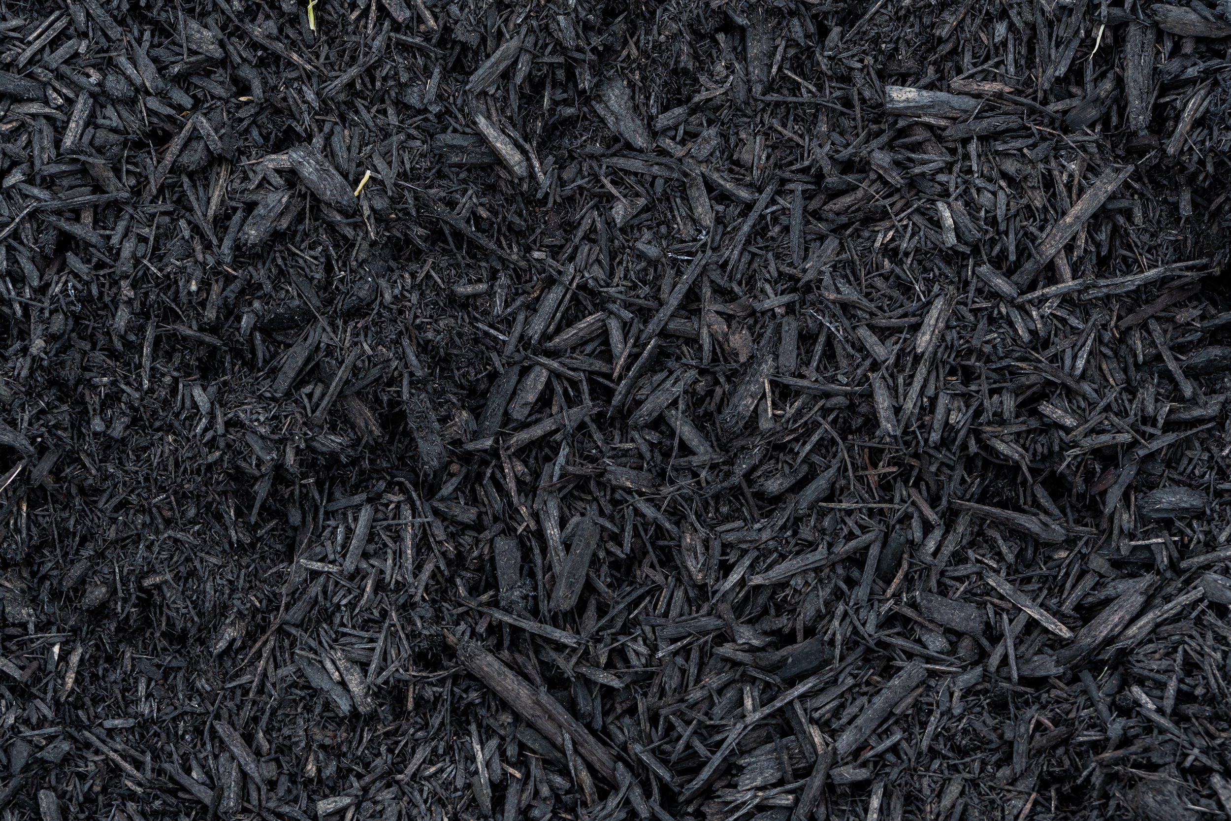 black_mulch.jpeg