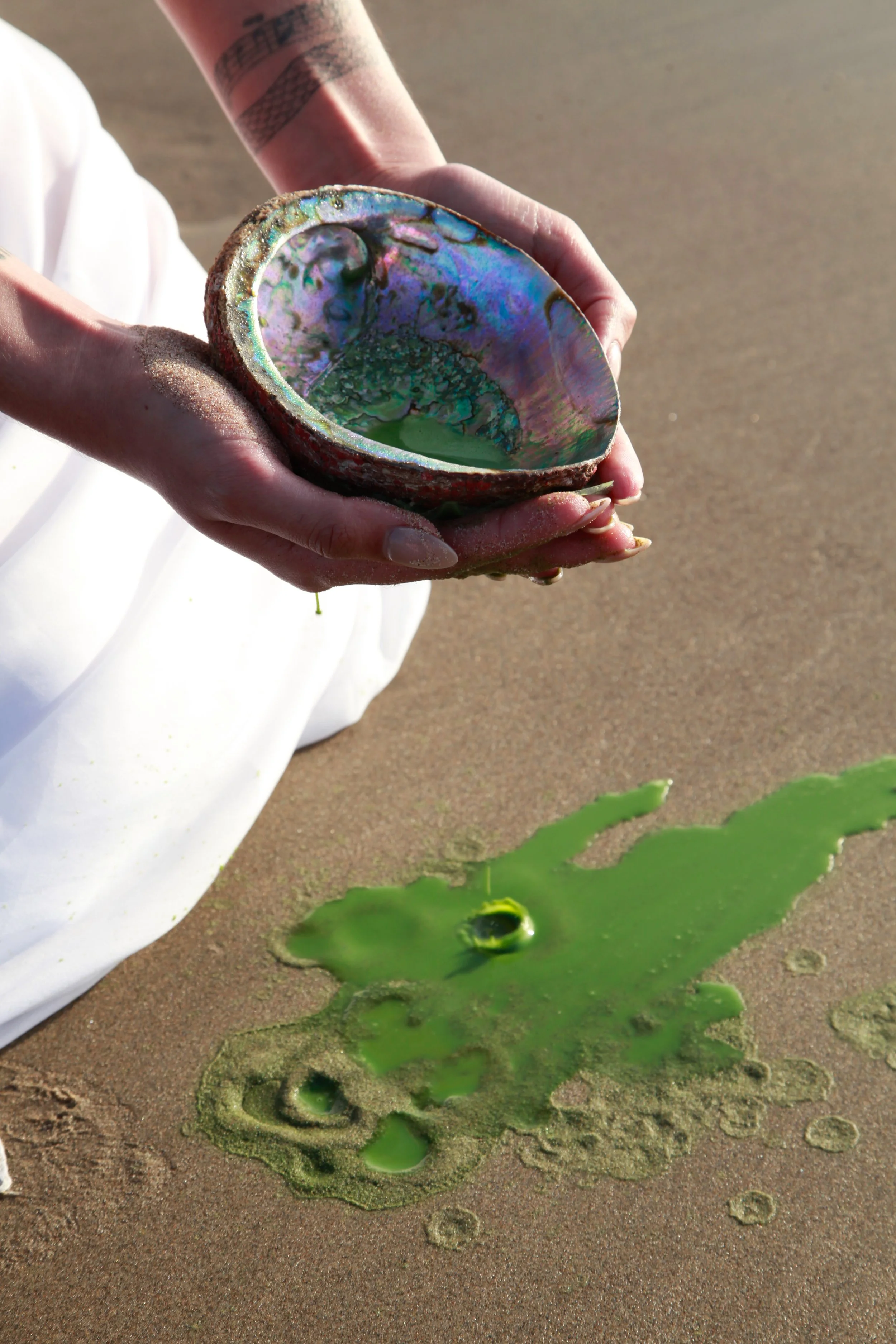 Recipe Name レシピ