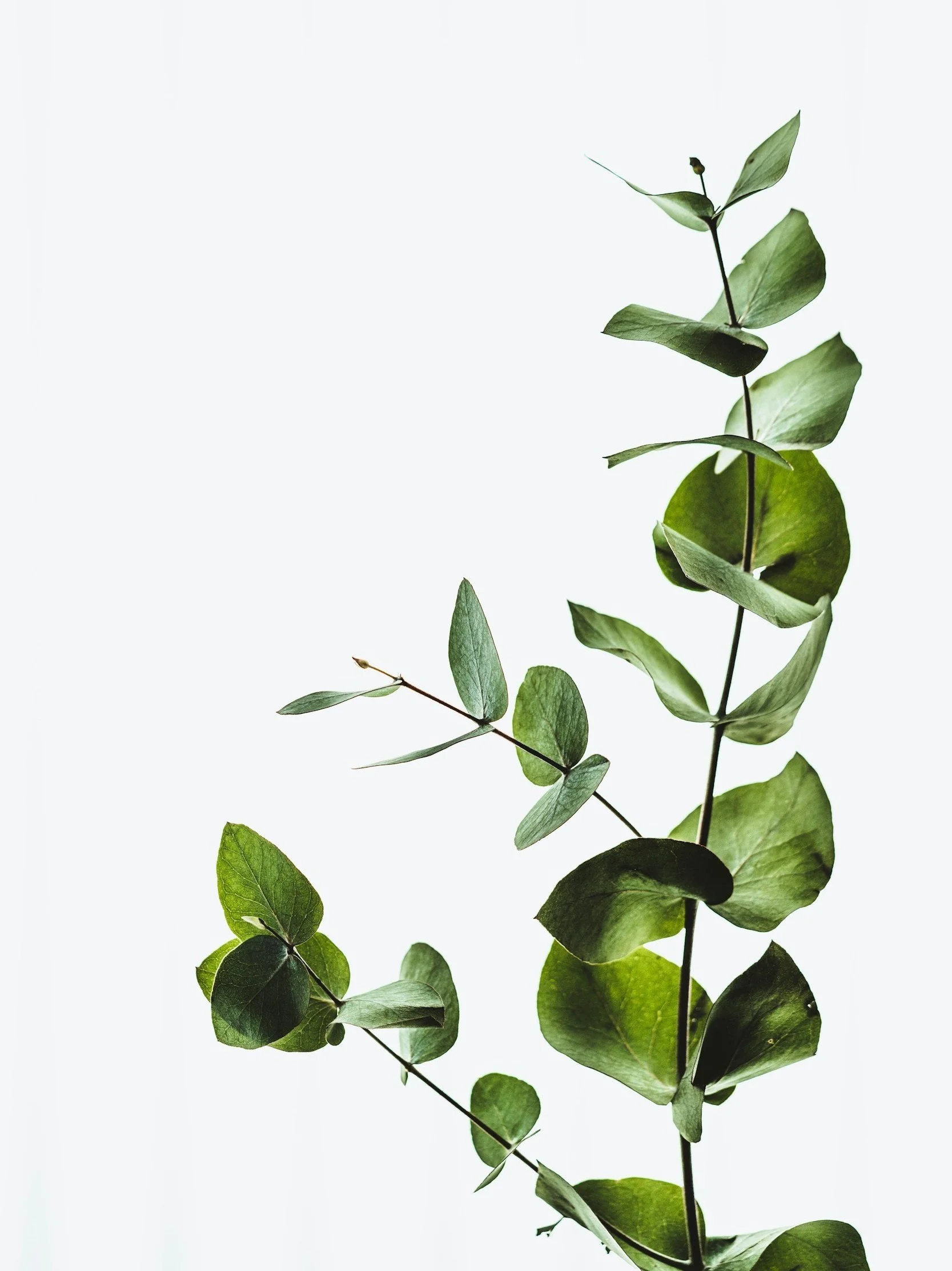 What Is EMDR Therapy