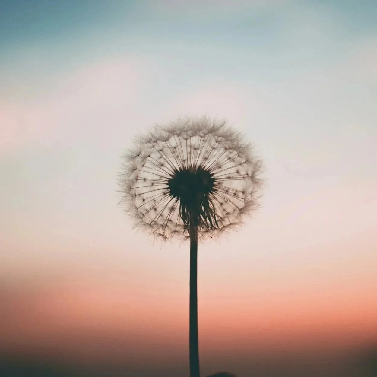 Grounding &amp; Mindfulness