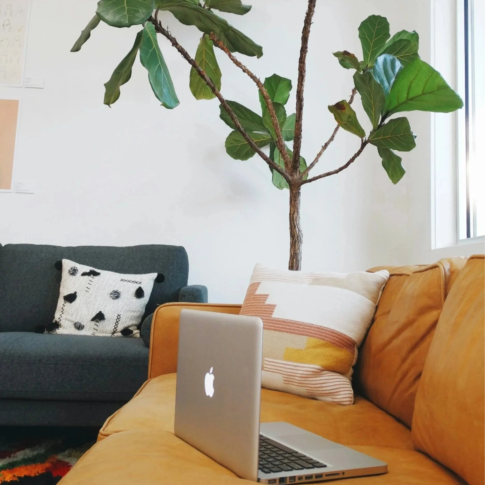 Crisis &amp; Support Lines