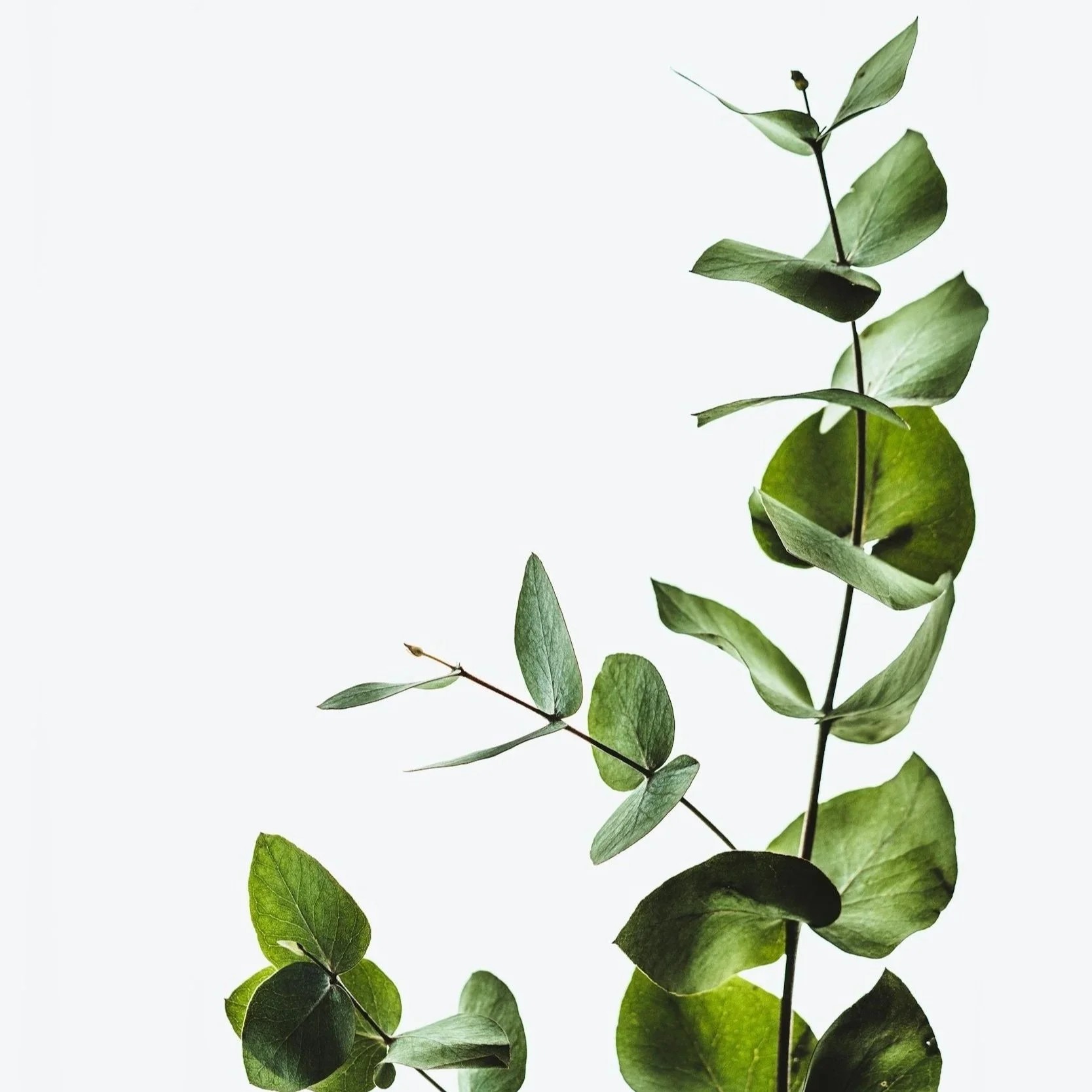 What Is EMDR Therapy