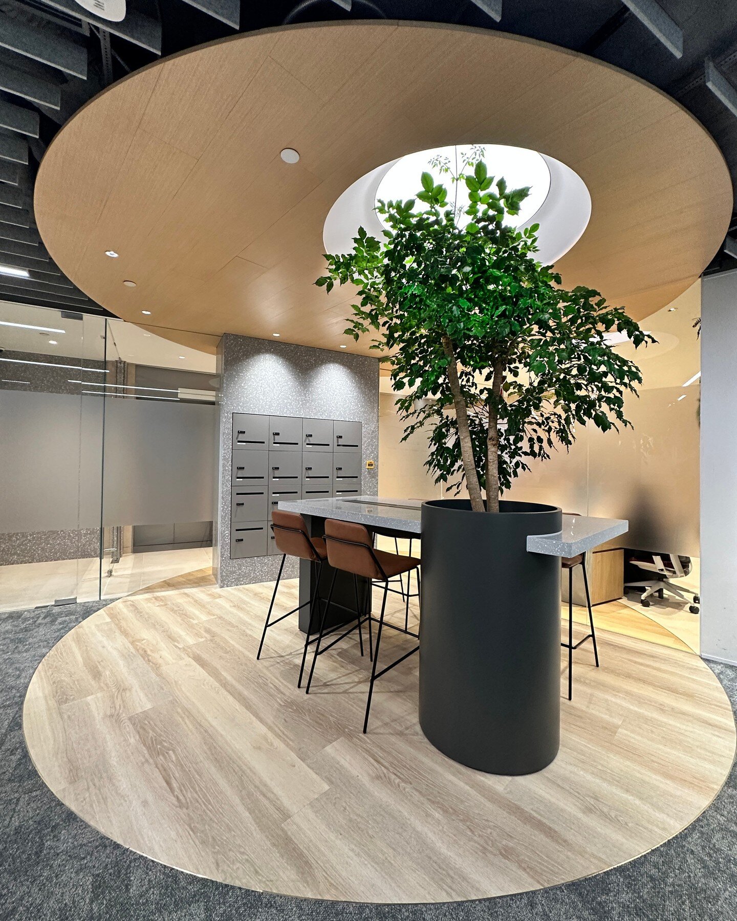 Adding a statement plant can create a more inviting and refreshing workspace. 🌿 🍃 This is one of our latest office designs for @beahk.