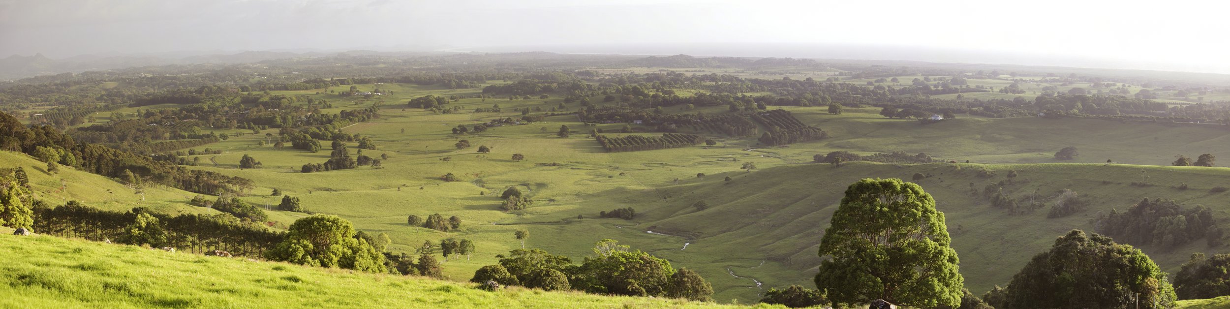 Aerial view of hinterland looking out to ocean near Byron Bay