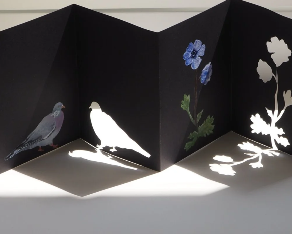 Artist Book: Paris En Soleil