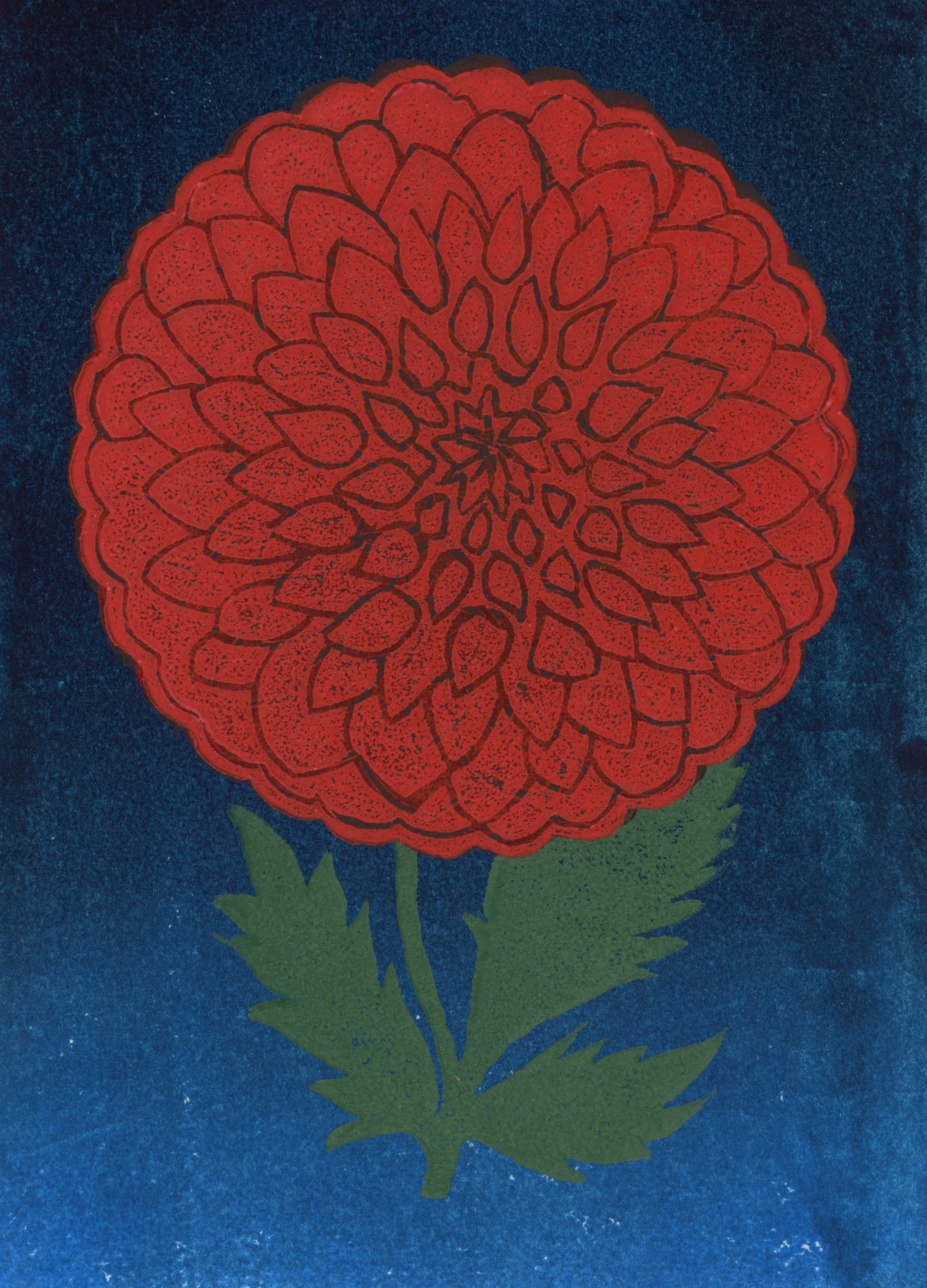 2853x2140_Maria-Kozanecka_Portfolio_Dahlia_Midnight.jpg