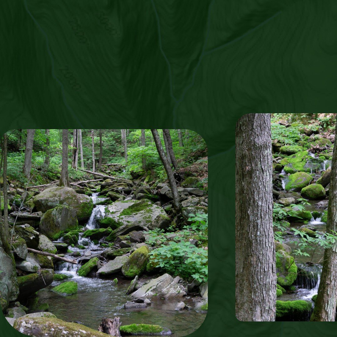 Last weekend, Andrew and I ventured up to @sprucetoninn for a mini getaway which included an afternoon hike up and down the Diamond Notch Trail. It&rsquo;s an &ldquo;out and back&rdquo; hike that follows various streams up towards the falls but there