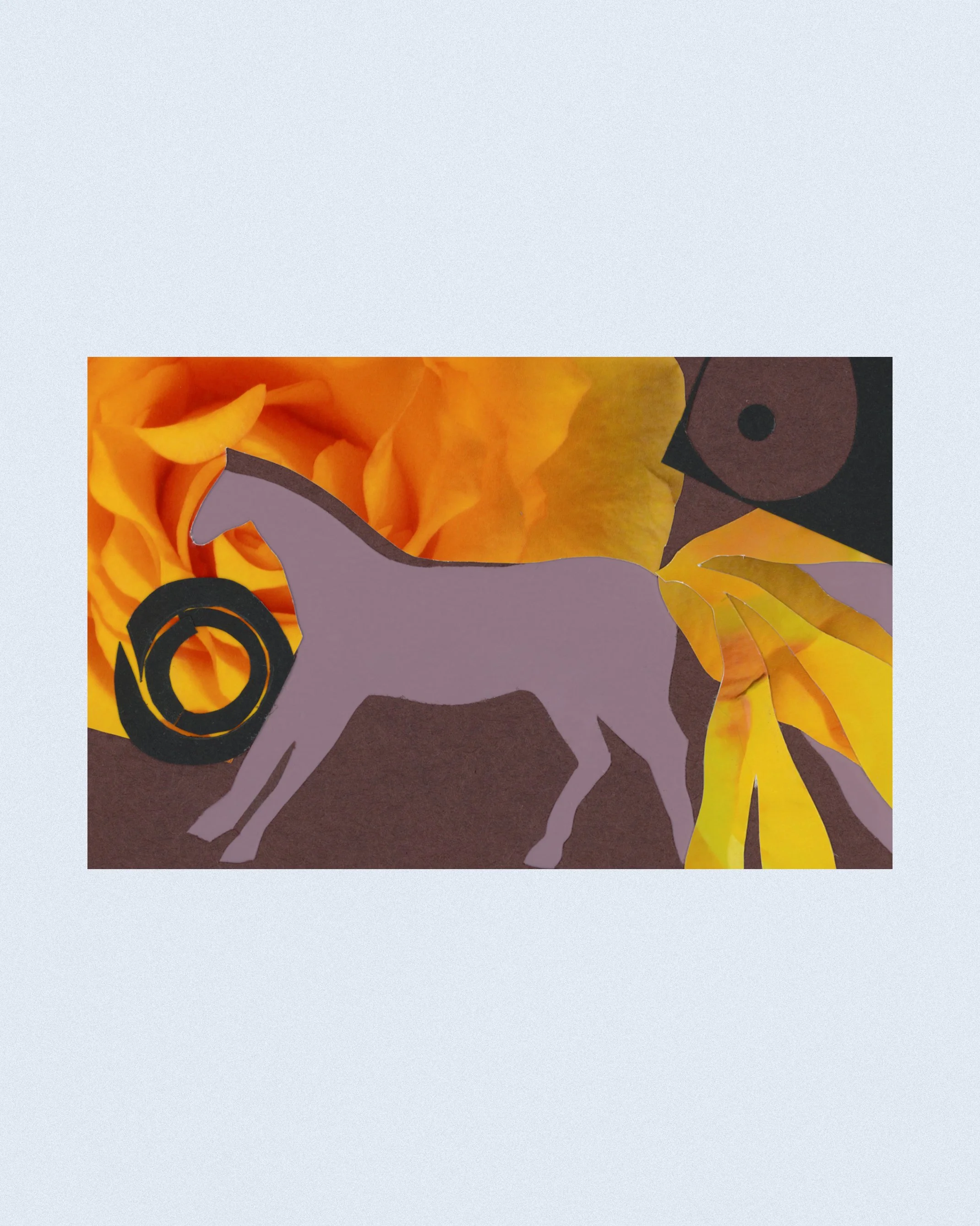 The Milky Way x Andromeda