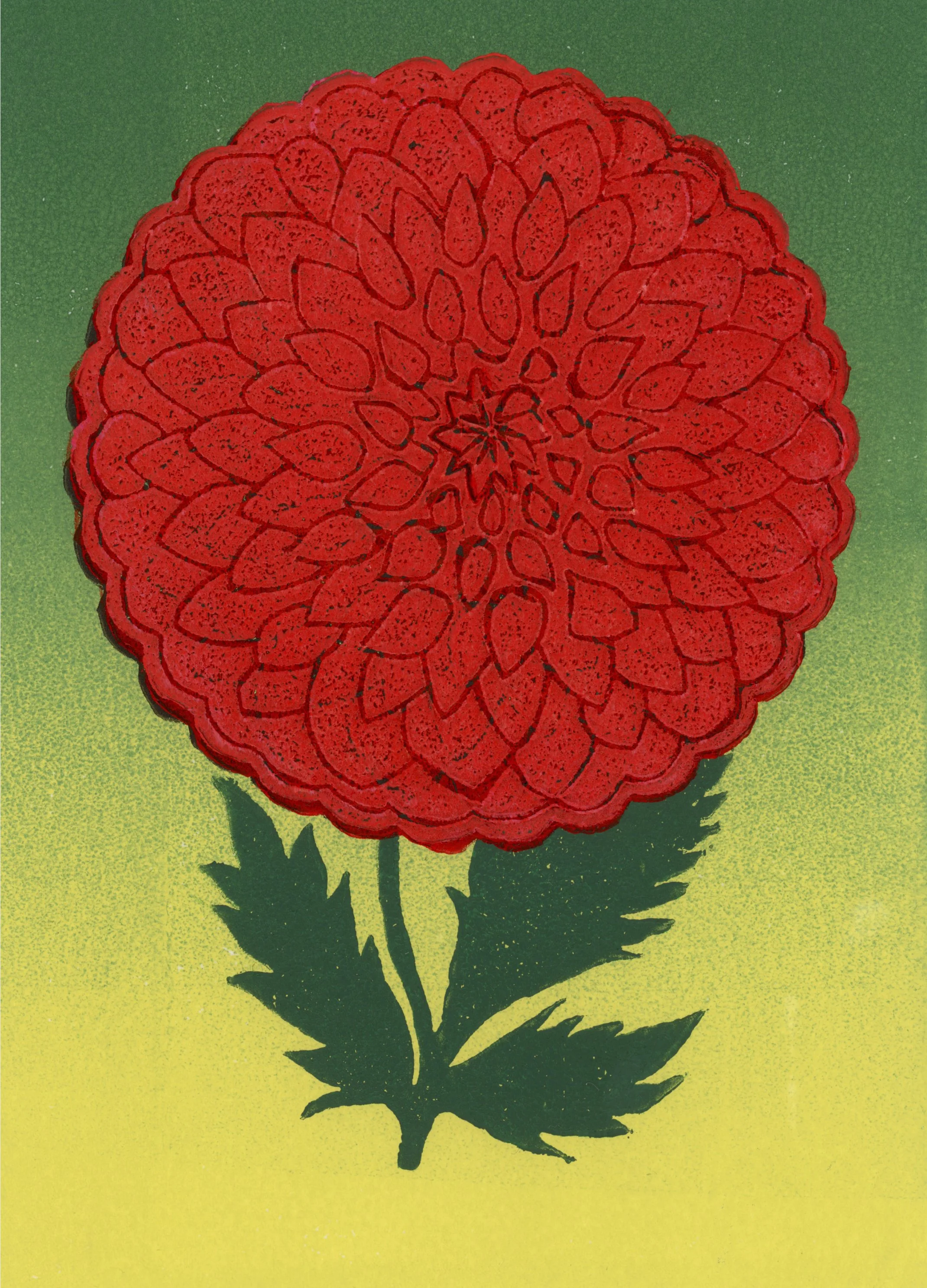 2853x2140_Maria-Kozanecka_Portfolio_Dahlia_Red.jpg