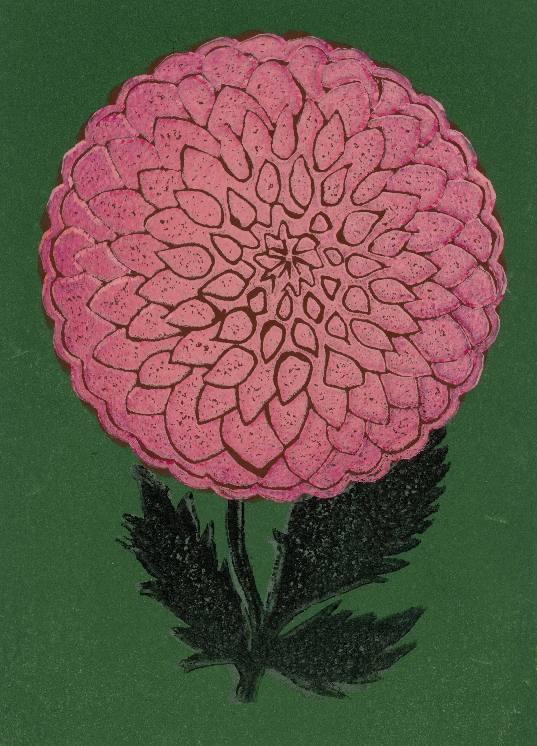 2853x2140_Maria-Kozanecka_Portfolio_Dahlia_Rose.jpg