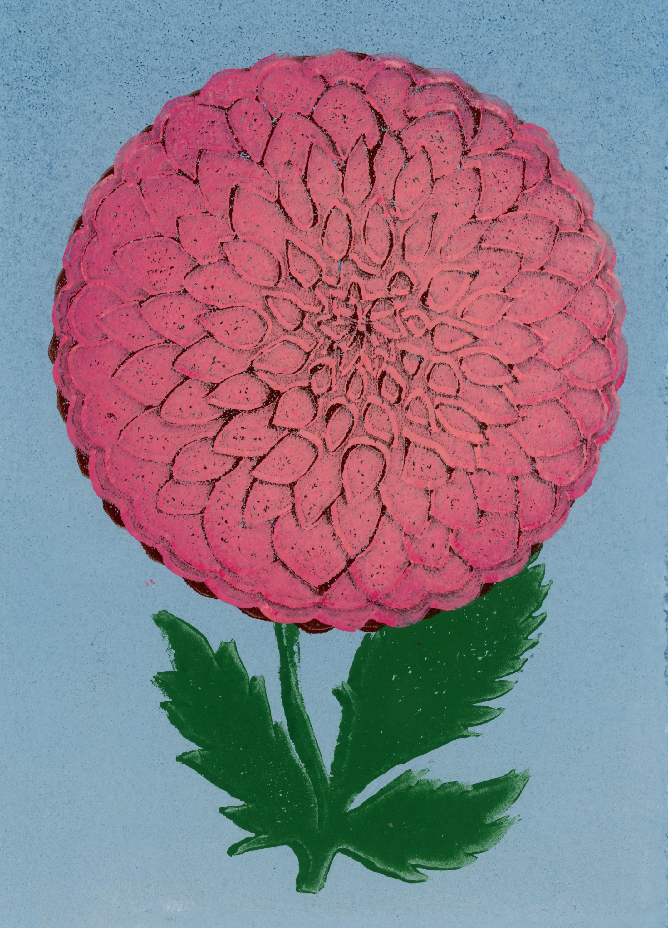 2853x2140_Maria-Kozanecka_Portfolio_Dahlia_Pink.jpg