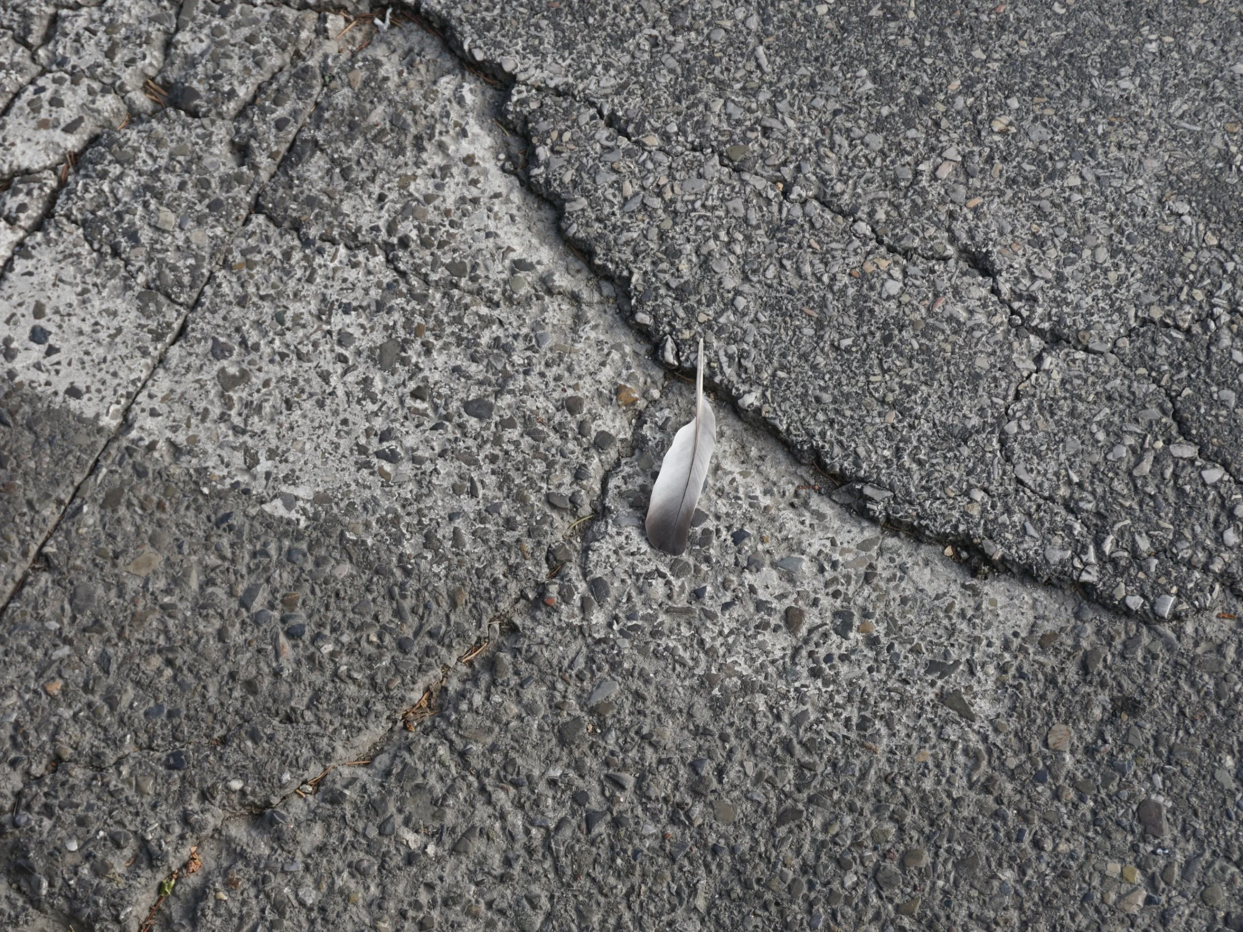 Photo Story: Urban Still Lifes